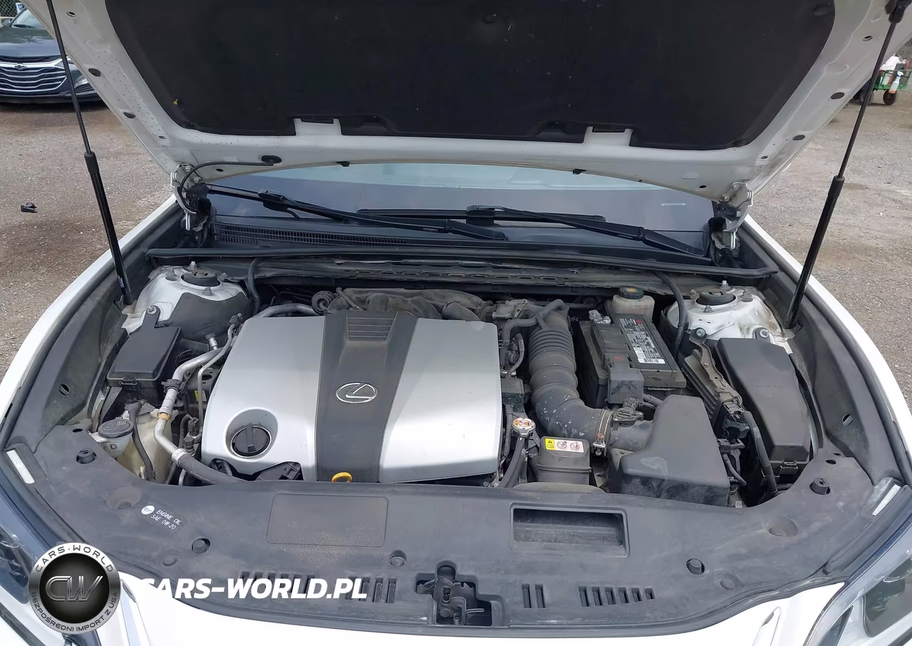 2019 Lexus Es 350 VIN:JTHBZ1B19K2003625 - 10