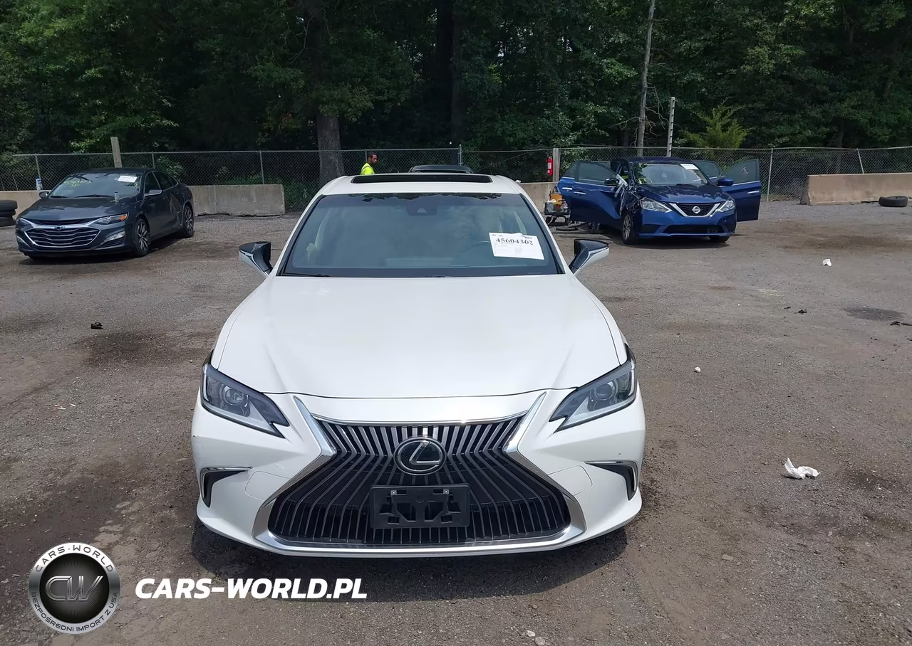 2019 Lexus Es 350 VIN:JTHBZ1B19K2003625 - 12