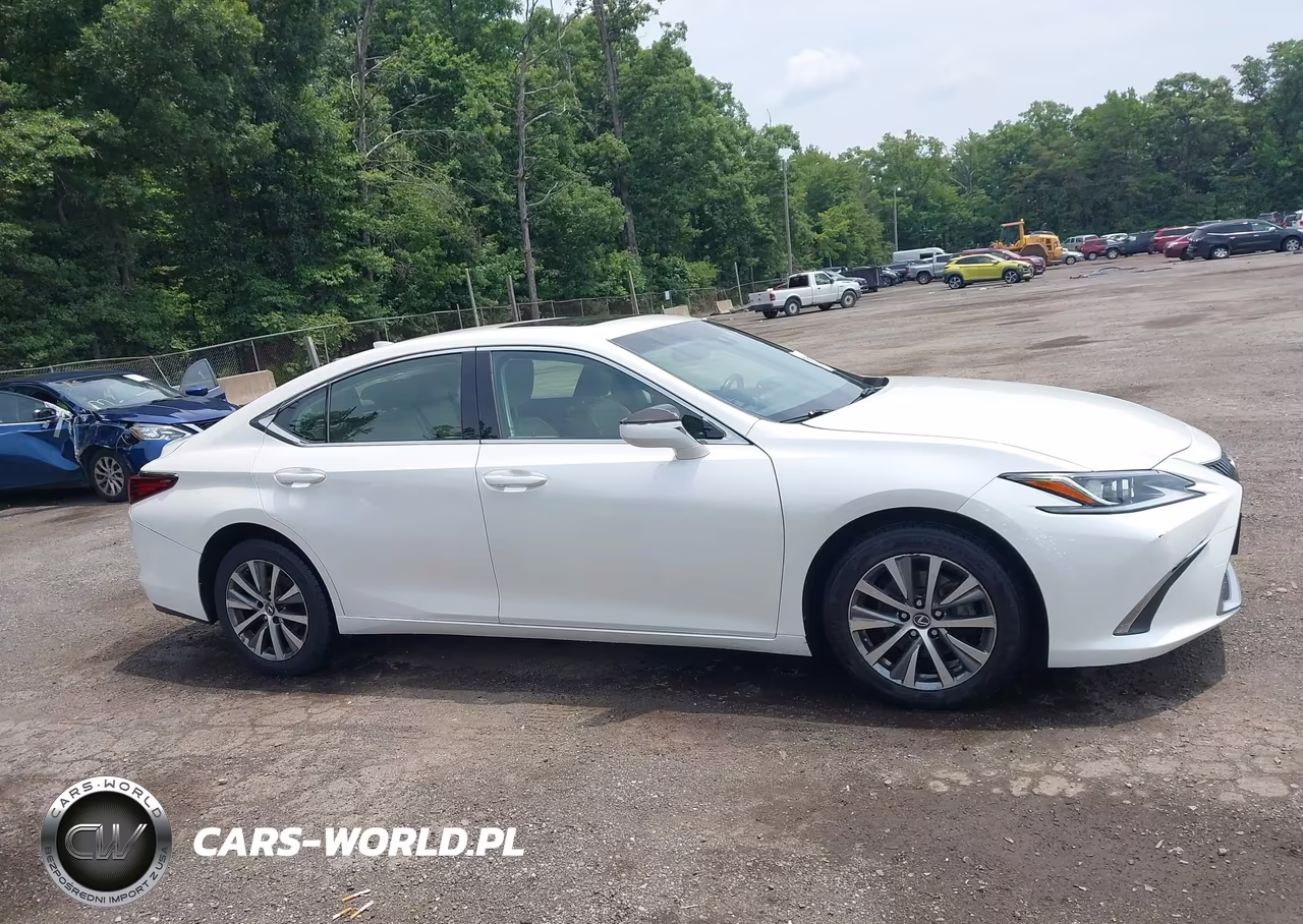 2019 Lexus Es 350 VIN:JTHBZ1B19K2003625 - 13