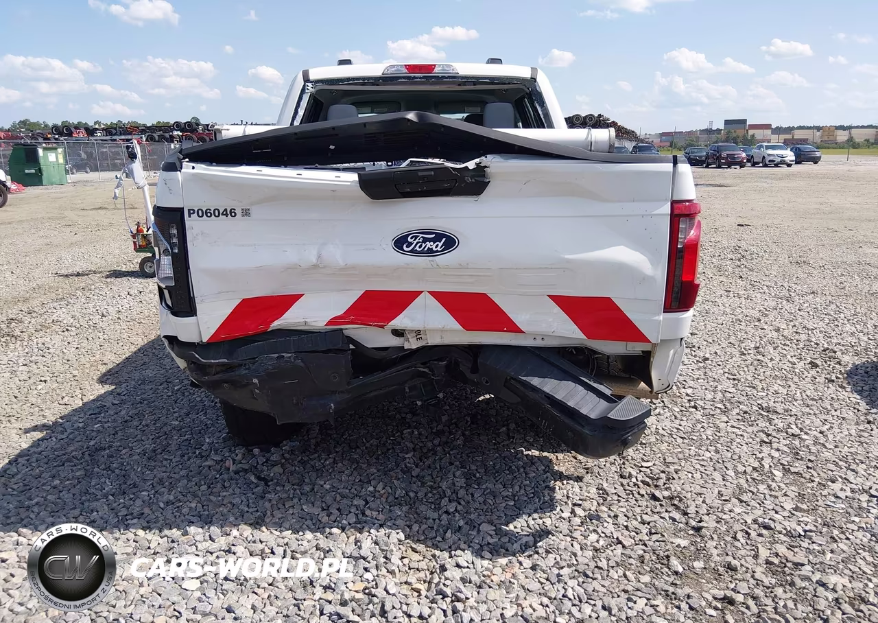 2024 Ford F-150 Xl VIN:1FTFW1L51RKE01287 - 17