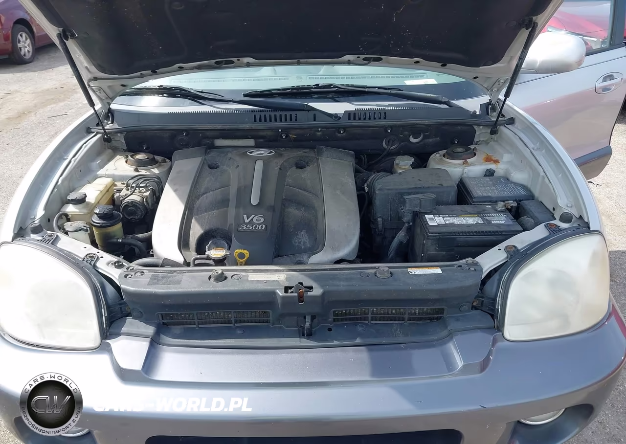 2006 Hyundai Santa Fe Gls-Limited VIN:KM8SC73E66U079302 - 10