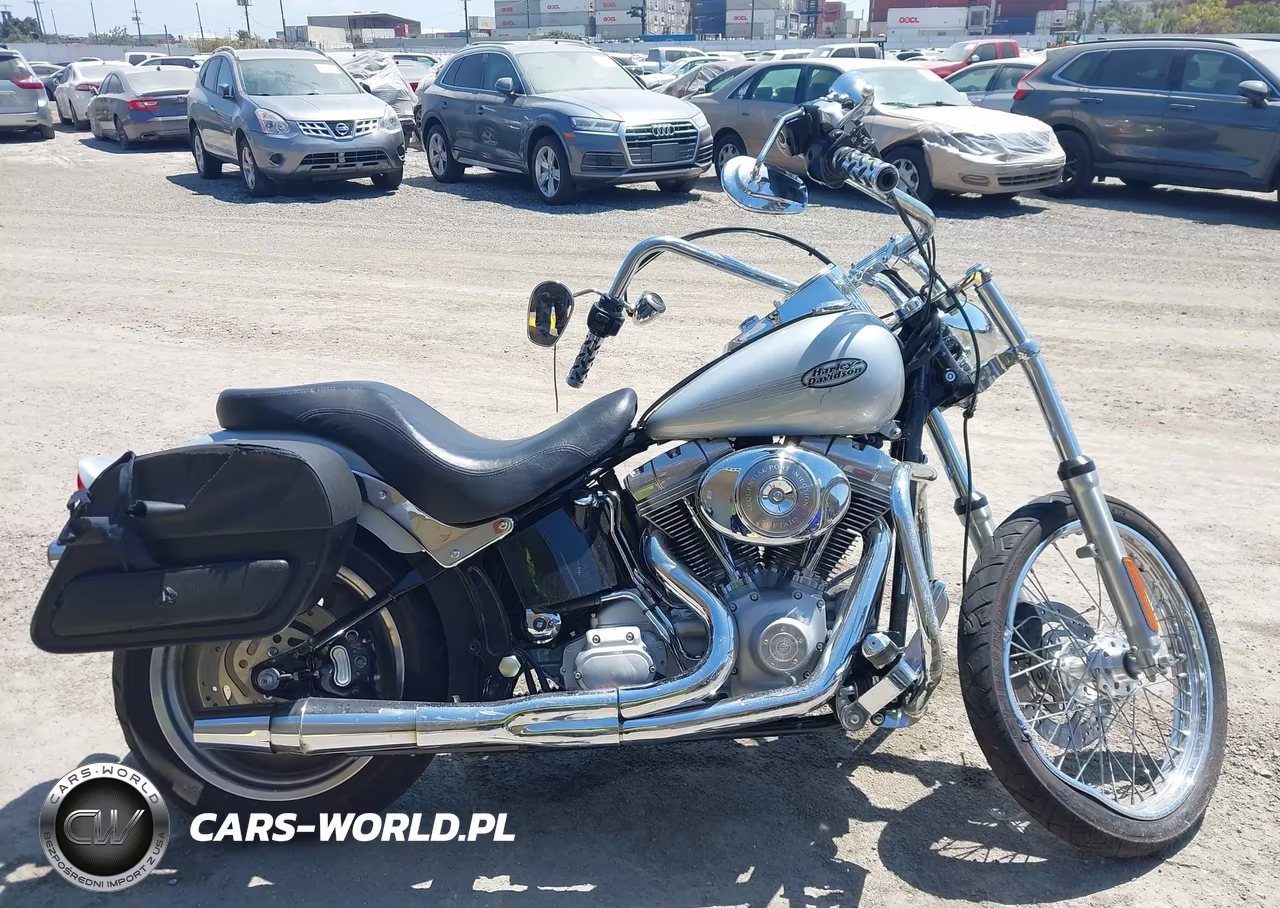 2006 Harley-Davidson Fxsti VIN:1HD1BVB146Y054802 - 12