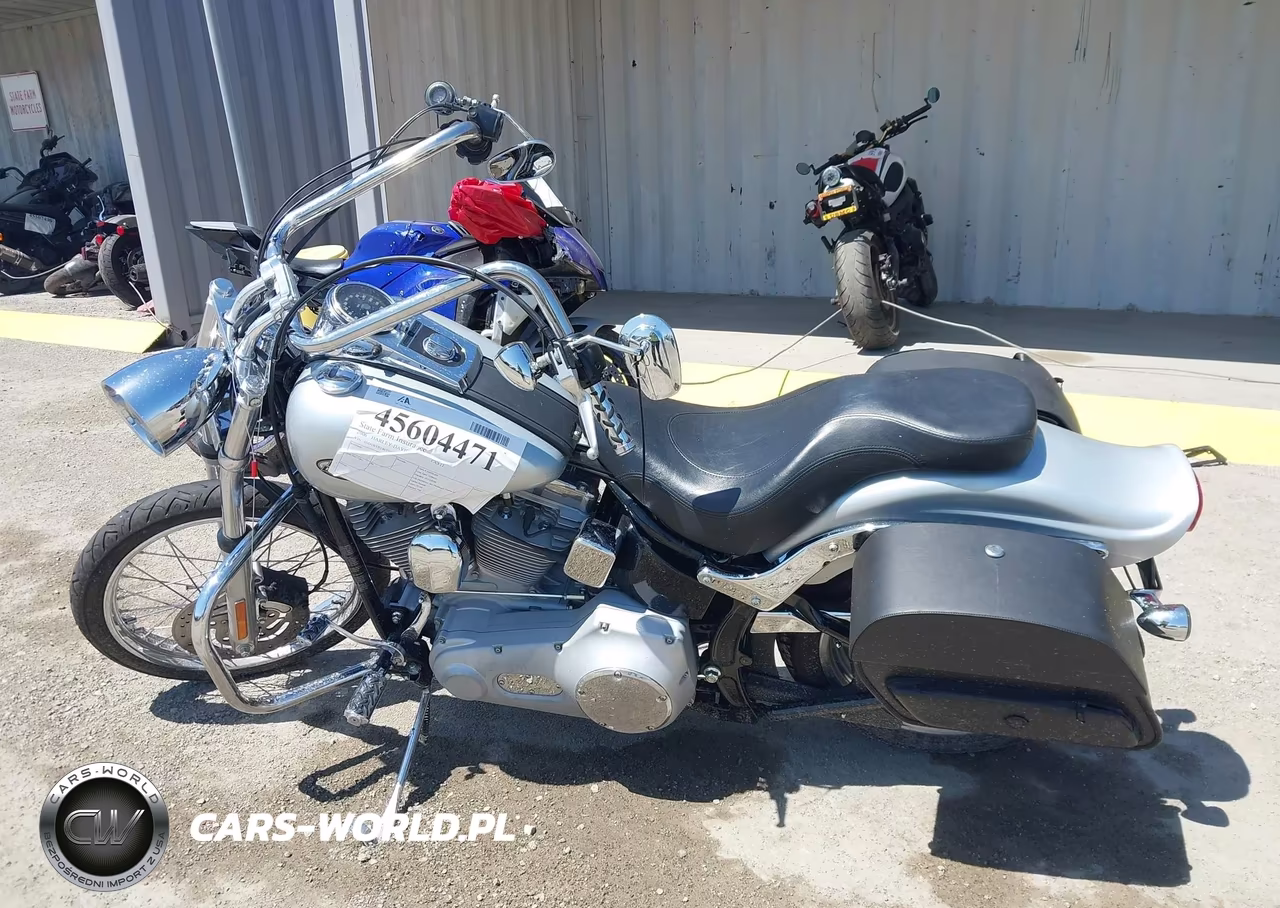 2006 Harley-Davidson Fxsti VIN:1HD1BVB146Y054802 - 13