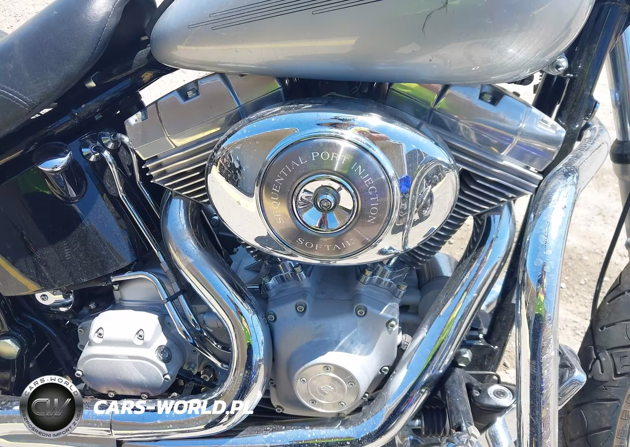 2006 Harley-Davidson Fxsti VIN:1HD1BVB146Y054802 - 8