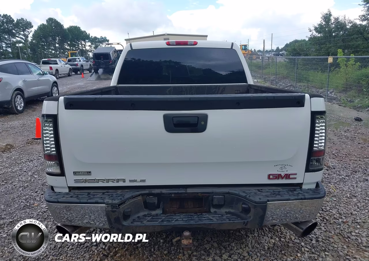 2009 GMC Sierra 1500 Sle VIN:3GTEK23309G252762 - 17