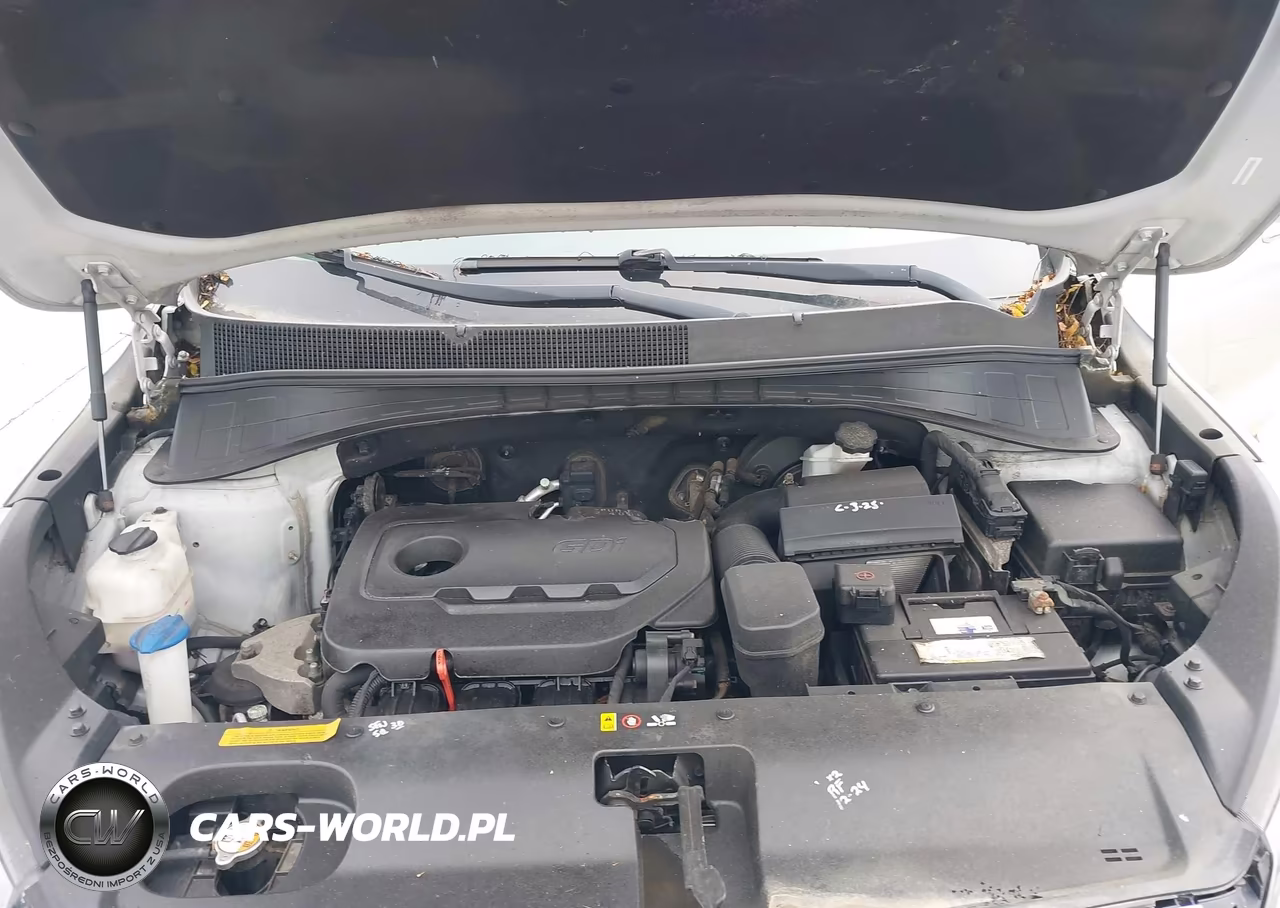 2016 Kia Sorento 2.4L Lx VIN:5XYPG4A3XGG024384 - 10
