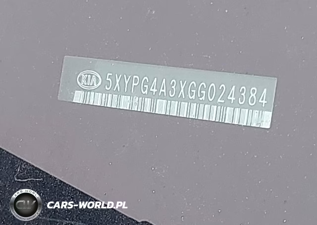 2016 Kia Sorento 2.4L Lx VIN:5XYPG4A3XGG024384 - 9