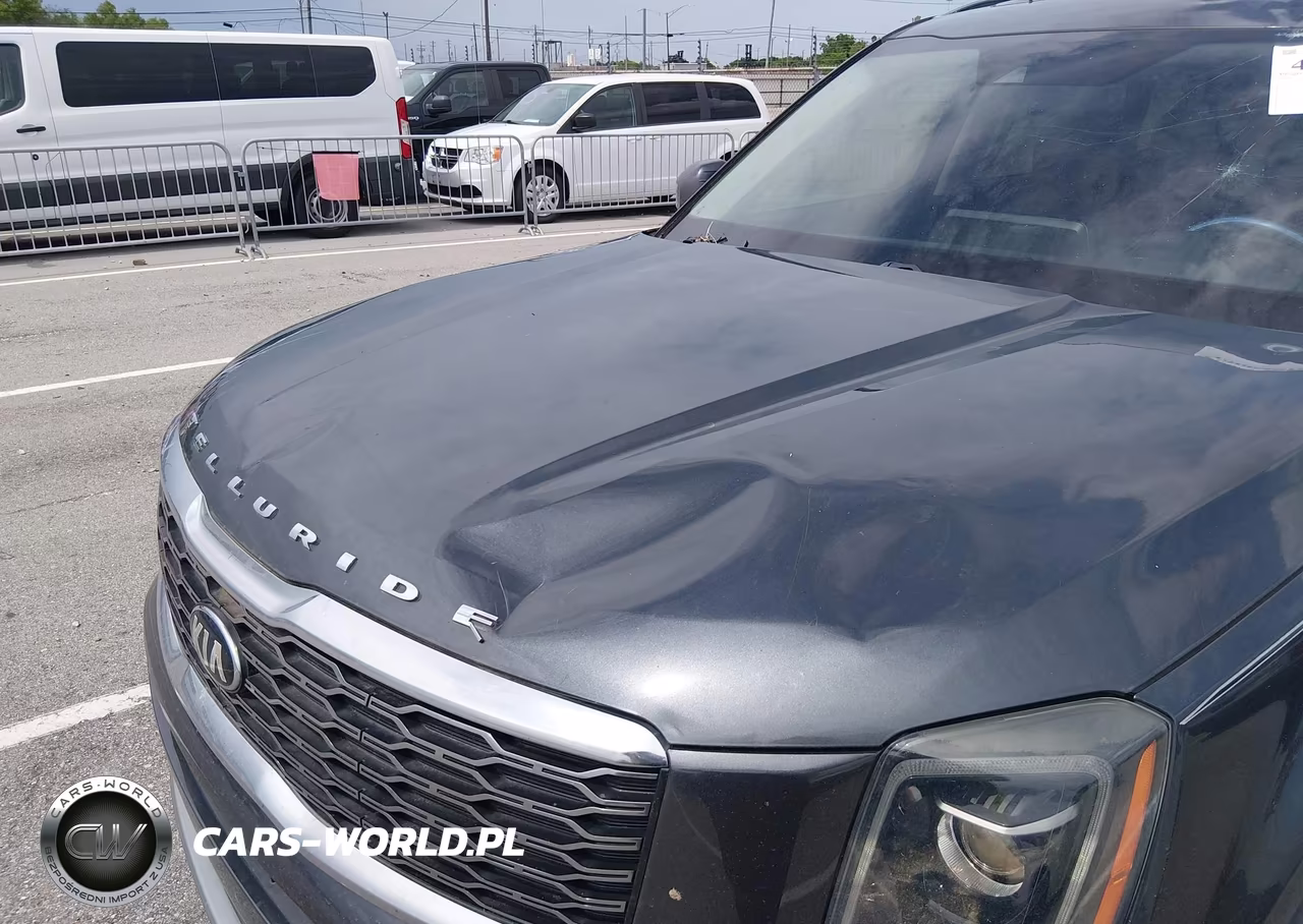 2020 Kia Telluride S VIN:5XYP64HC6LG095780 - 6
