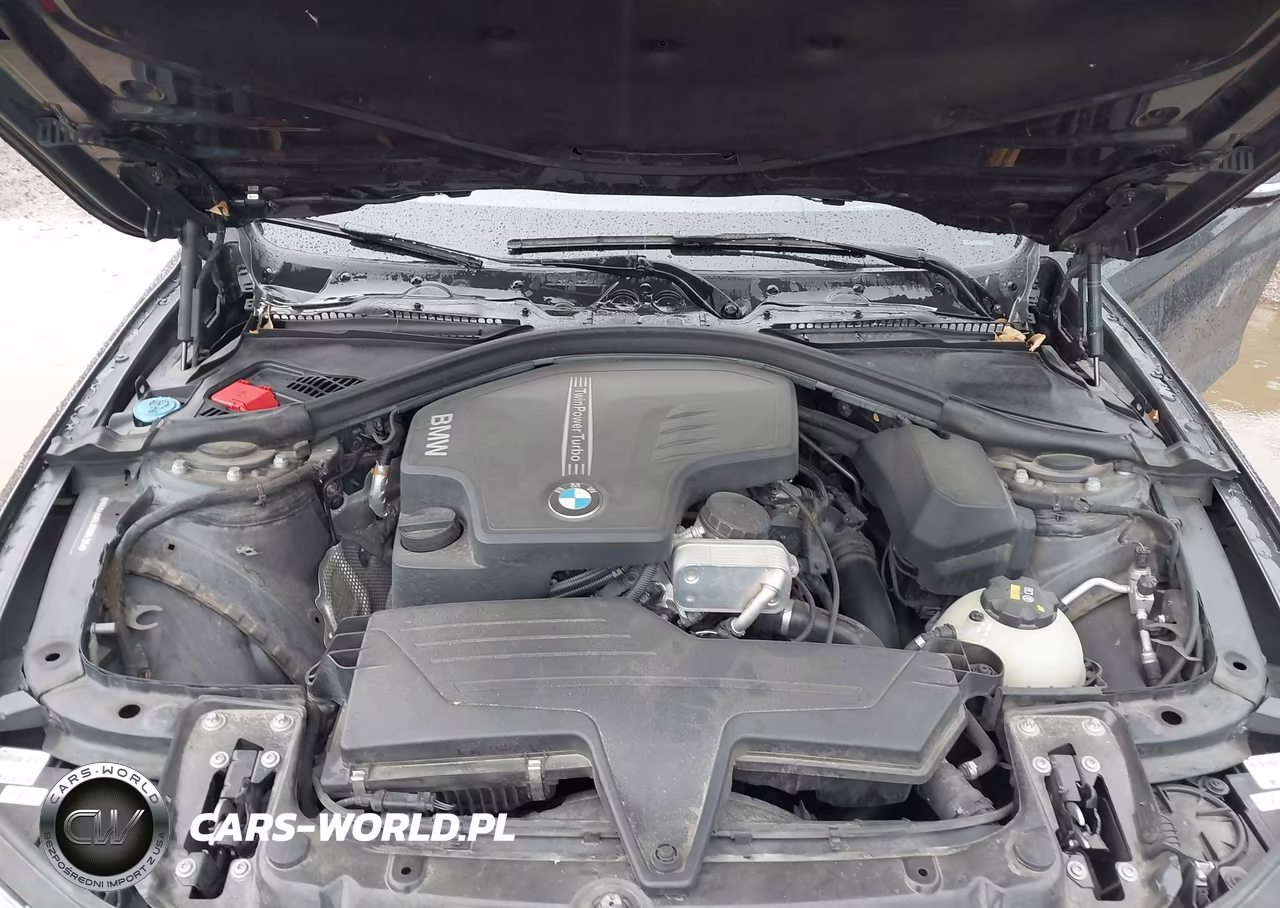 2016 BMW 428I Gran Coupe VIN:WBA4A9C53GG695325 - 10