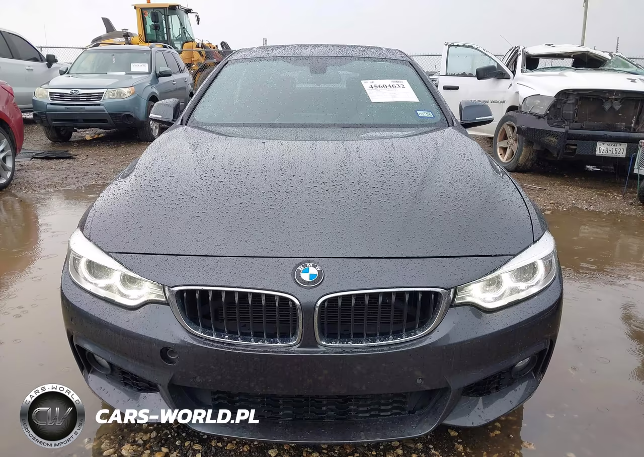 2016 BMW 428I Gran Coupe VIN:WBA4A9C53GG695325 - 12