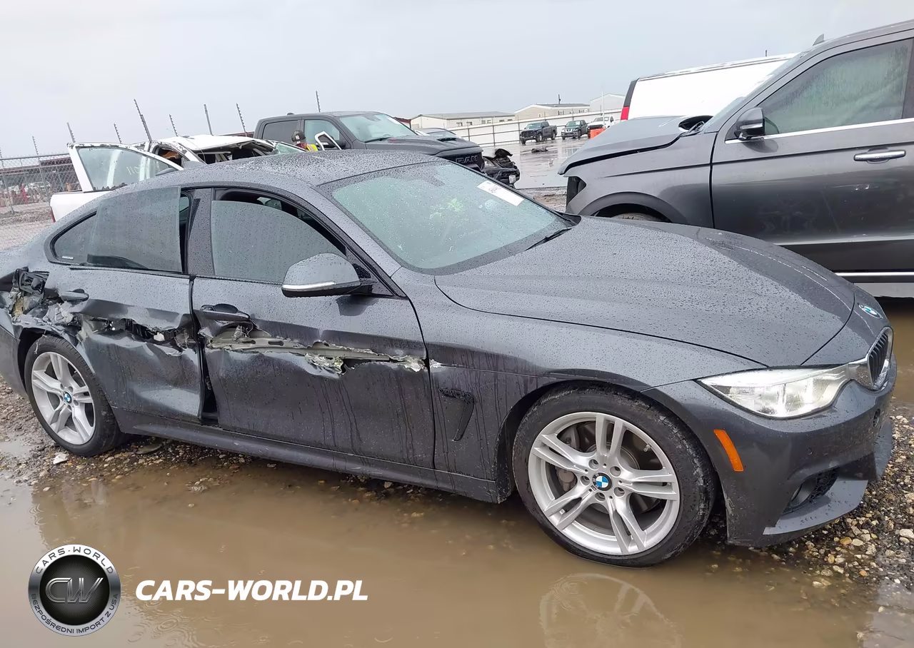 2016 BMW 428I Gran Coupe VIN:WBA4A9C53GG695325 - 13