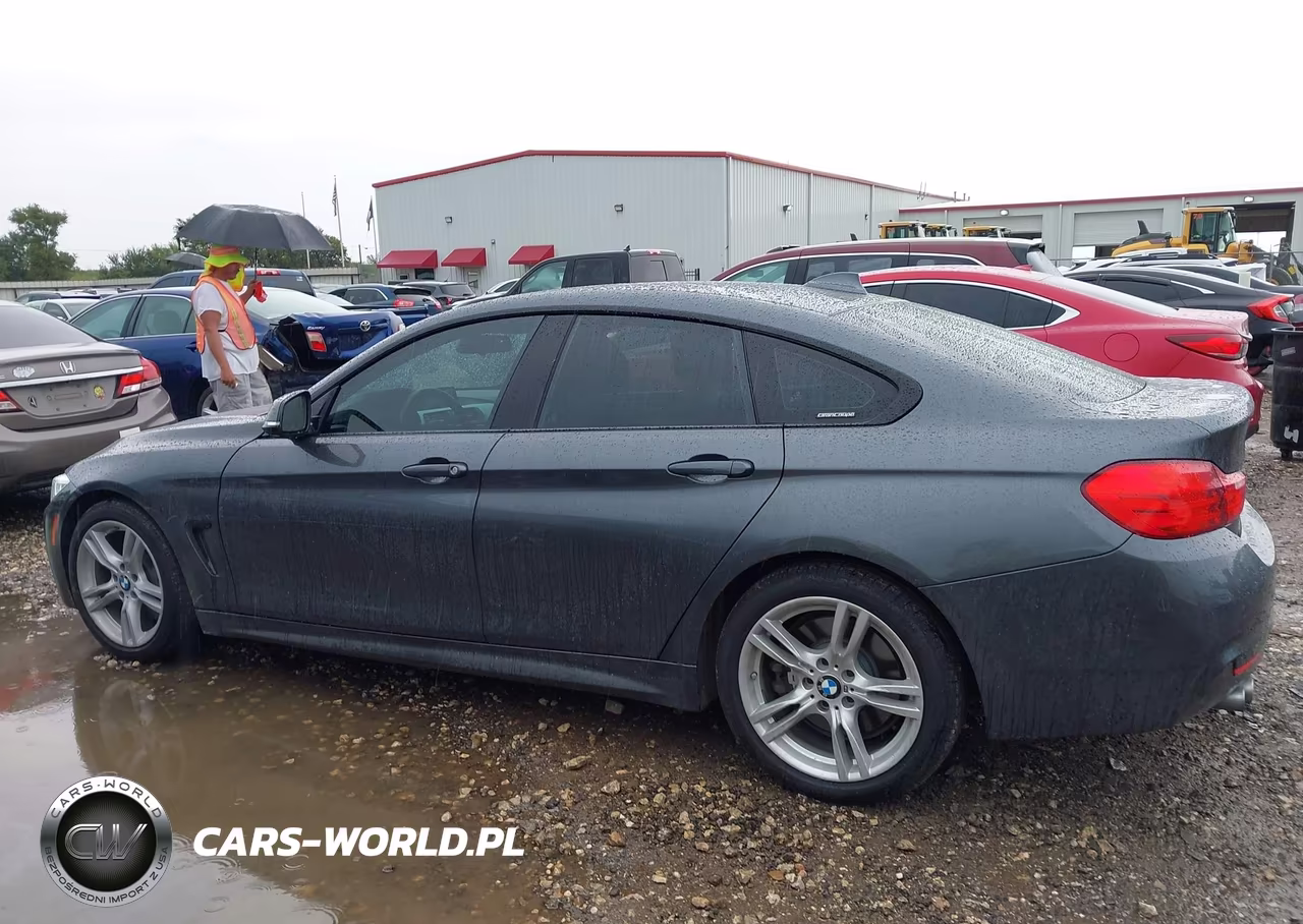 2016 BMW 428I Gran Coupe VIN:WBA4A9C53GG695325 - 14