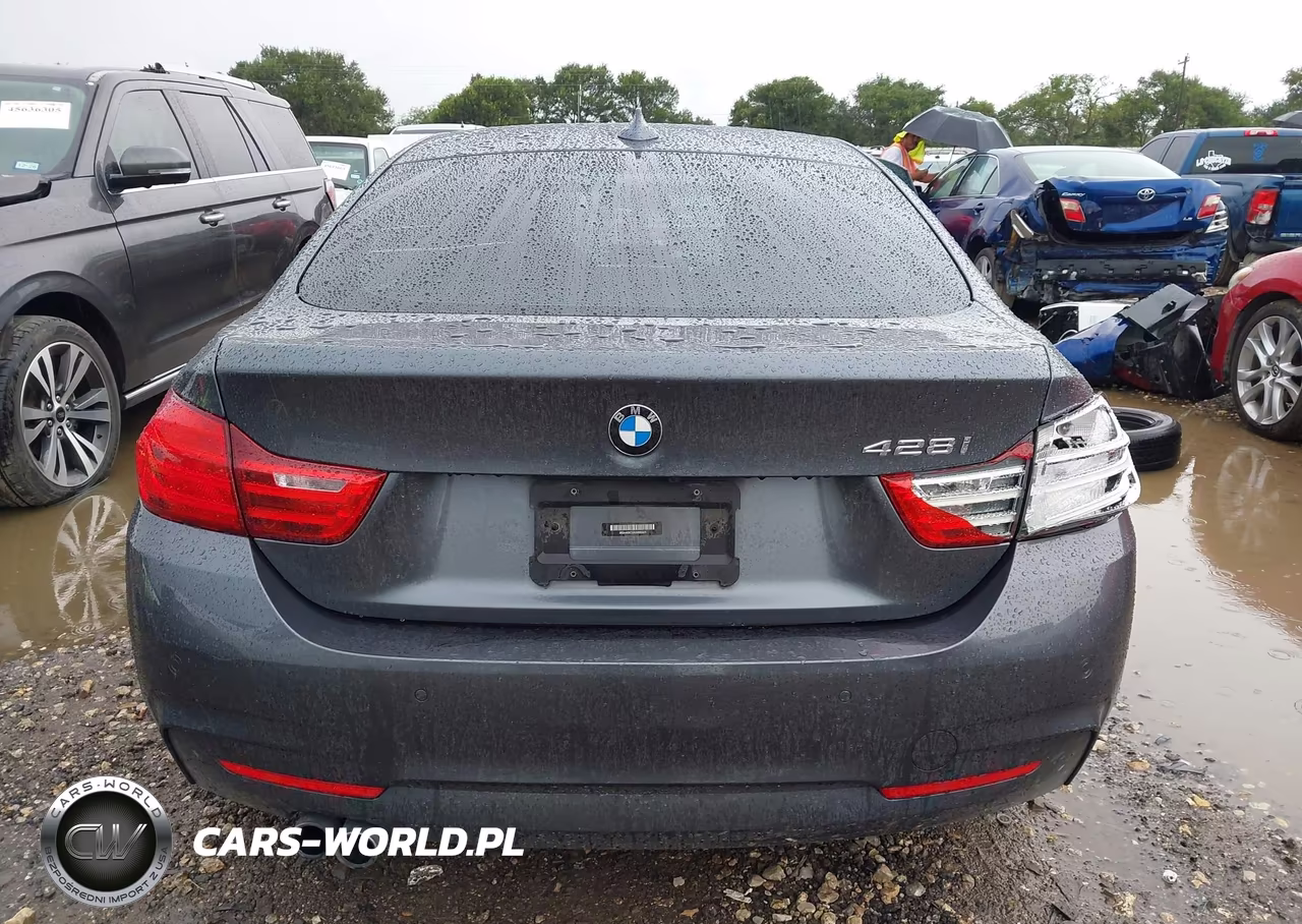 2016 BMW 428I Gran Coupe VIN:WBA4A9C53GG695325 - 16