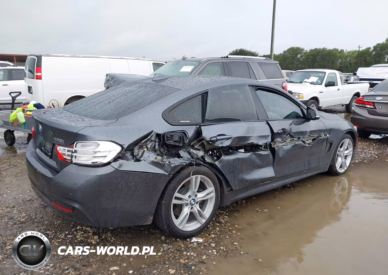 2016 BMW 428I Gran Coupe VIN:WBA4A9C53GG695325 - 17