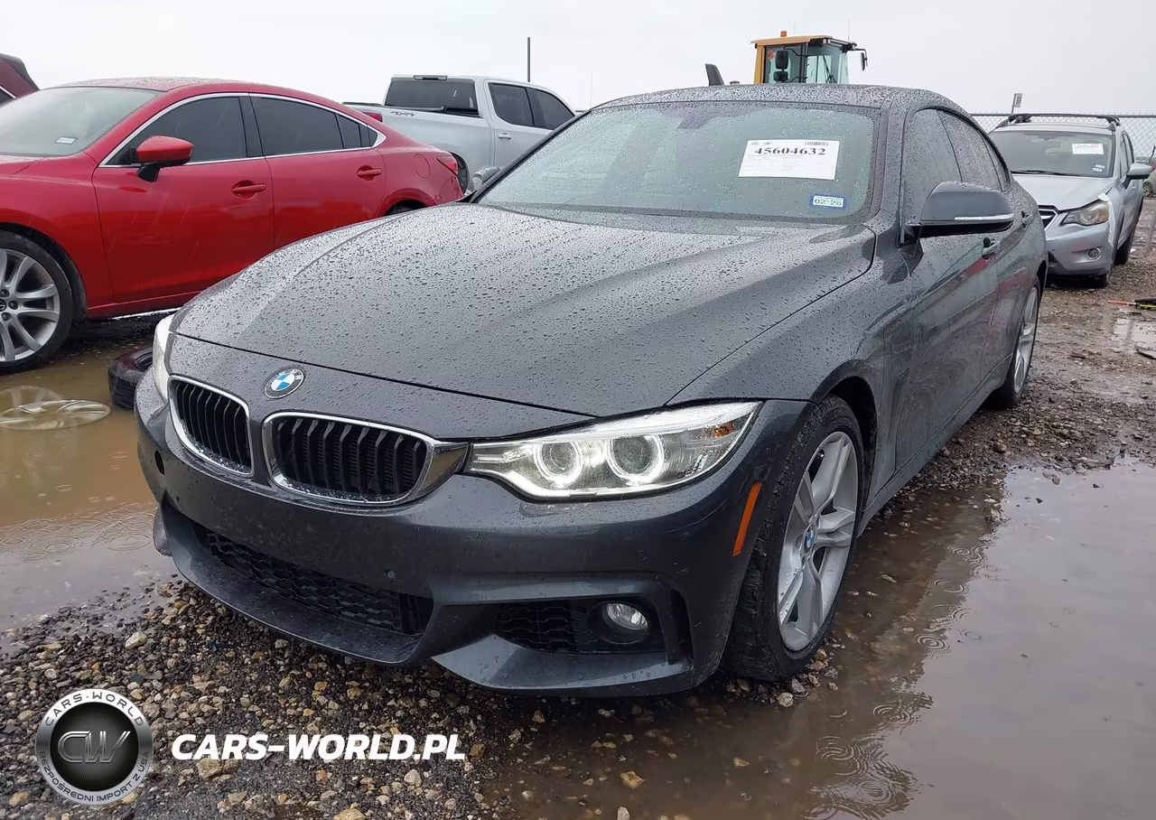 2016 BMW 428I Gran Coupe VIN:WBA4A9C53GG695325 - 2
