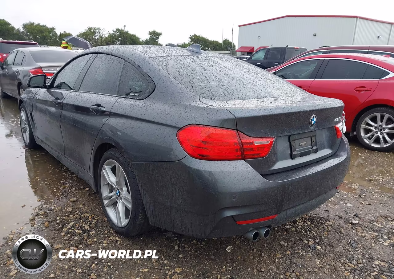 2016 BMW 428I Gran Coupe VIN:WBA4A9C53GG695325 - 3
