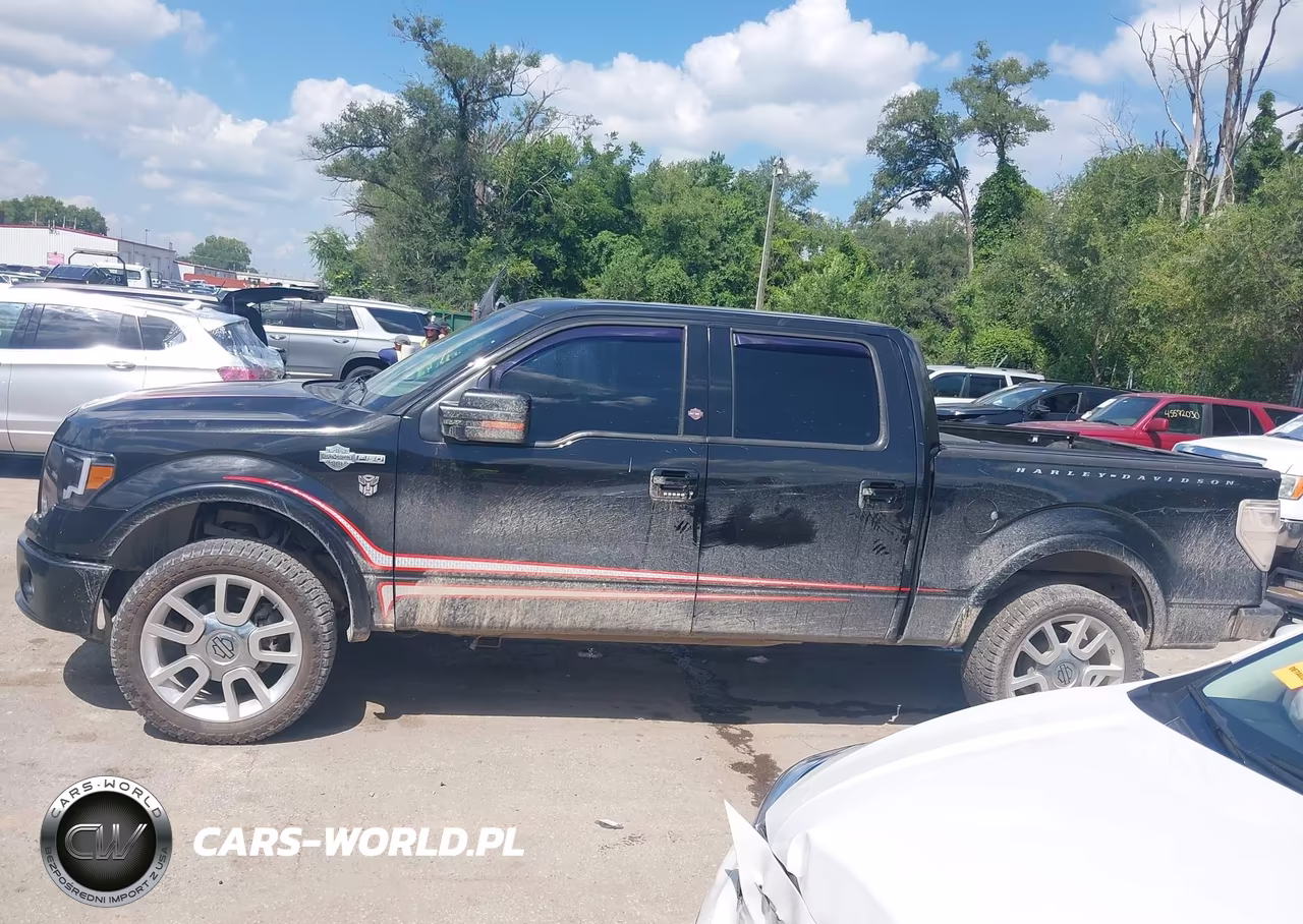 2011 Ford F-150 Harley-Davidson VIN:1FTFW1E68BFA12988 - 15