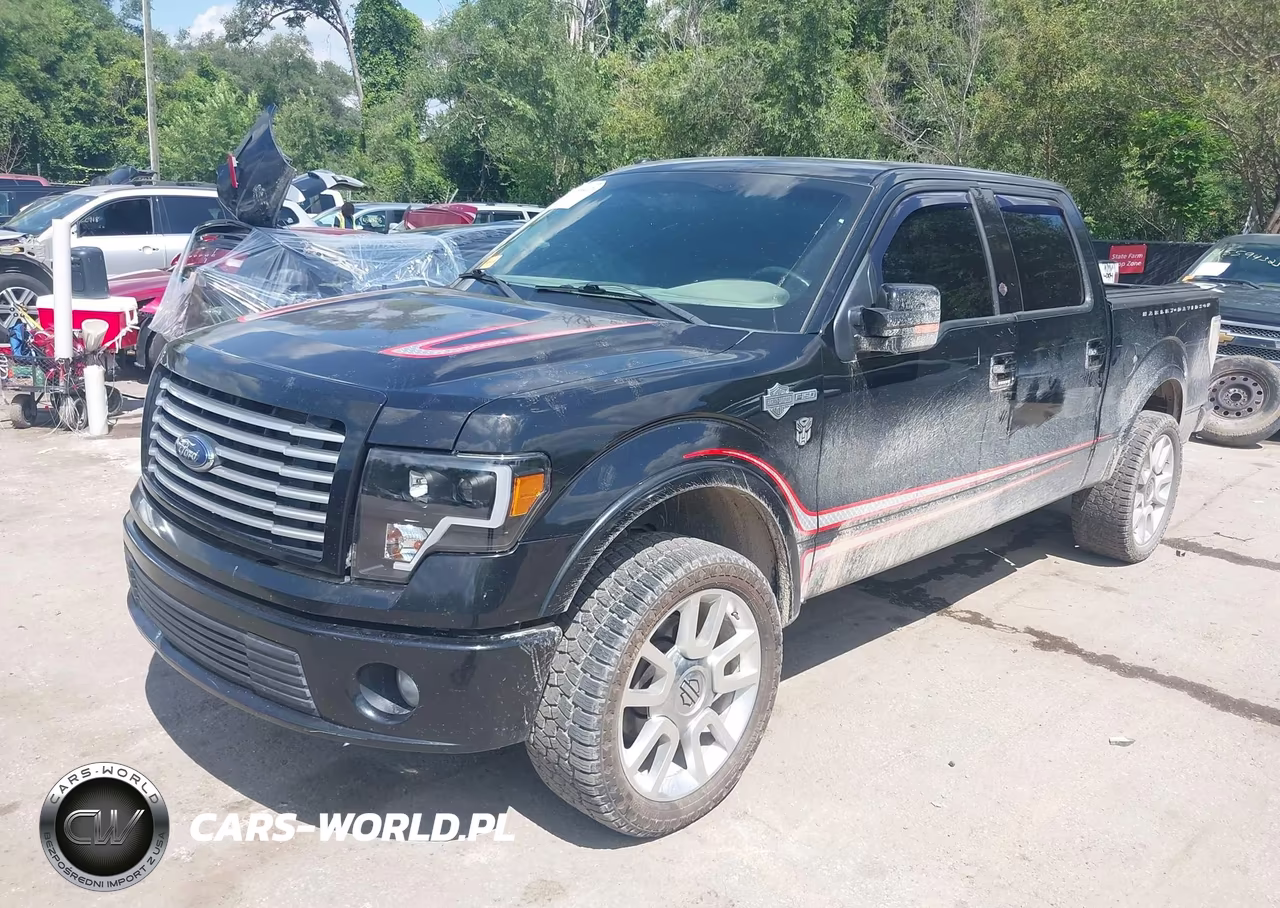 2011 Ford F-150 Harley-Davidson VIN:1FTFW1E68BFA12988 - 2