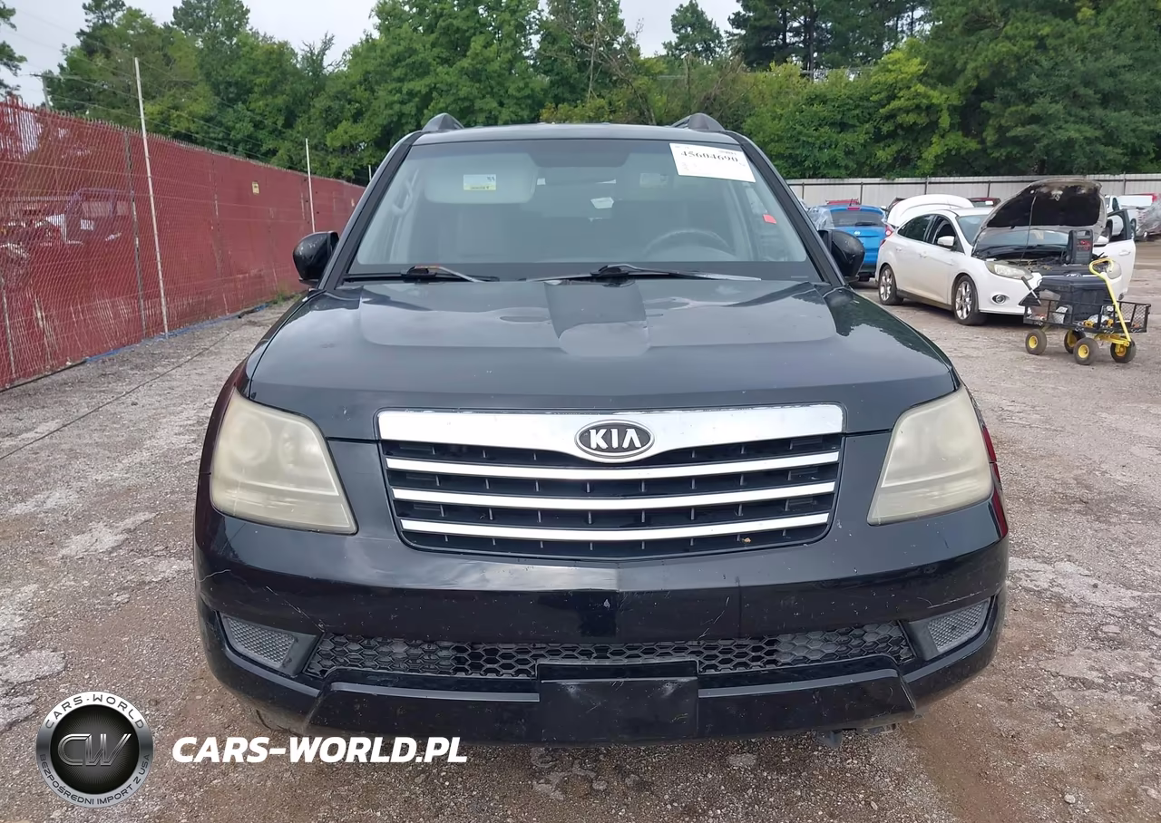 2009 Kia Borrego Lx VIN:KNDJJ741295024216 - 12