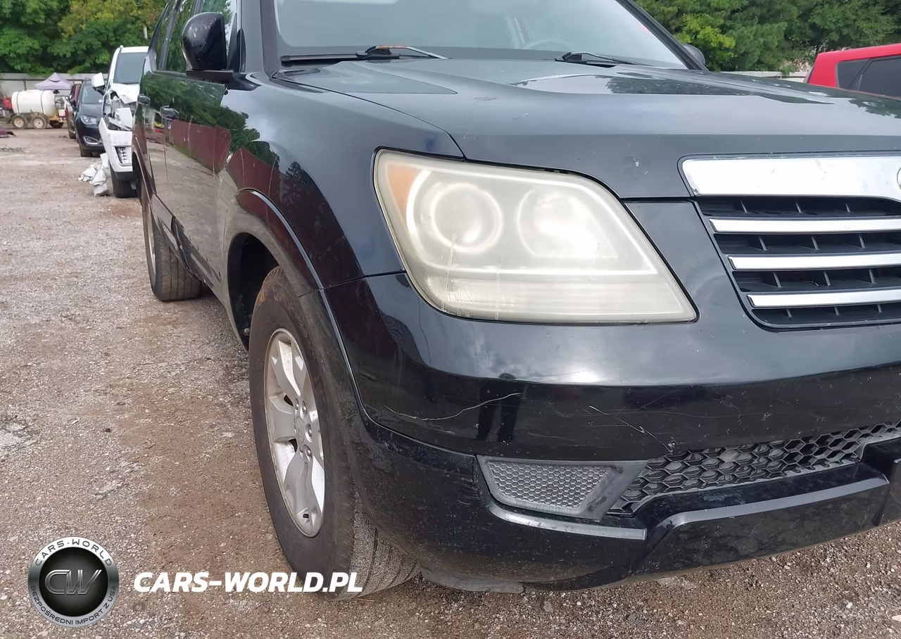 2009 Kia Borrego Lx VIN:KNDJJ741295024216 - 18
