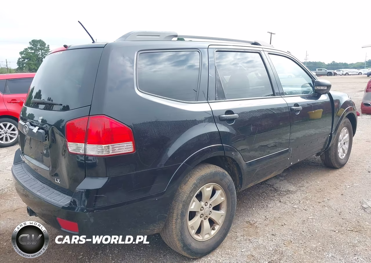 2009 Kia Borrego Lx VIN:KNDJJ741295024216 - 4
