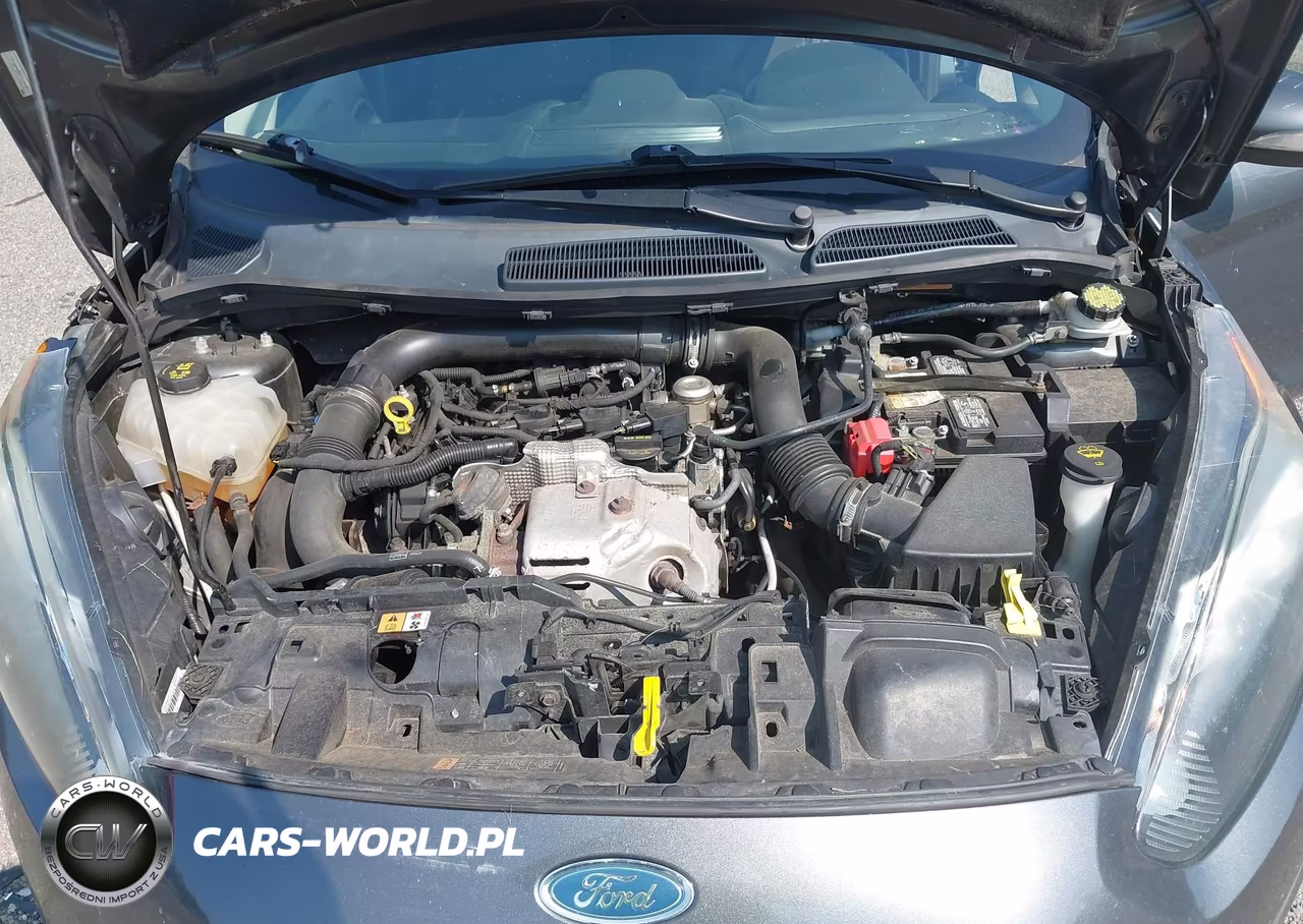 2015 Ford Fiesta Se VIN:3FADP4BE0FM189998 - 10