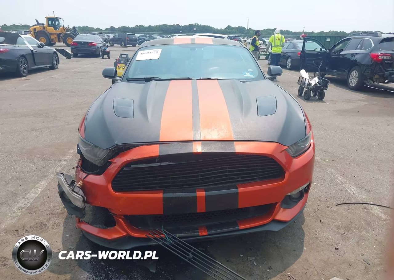 2016 Ford Mustang Gt Premium VIN:1FA6P8CF4G5227764 - 13