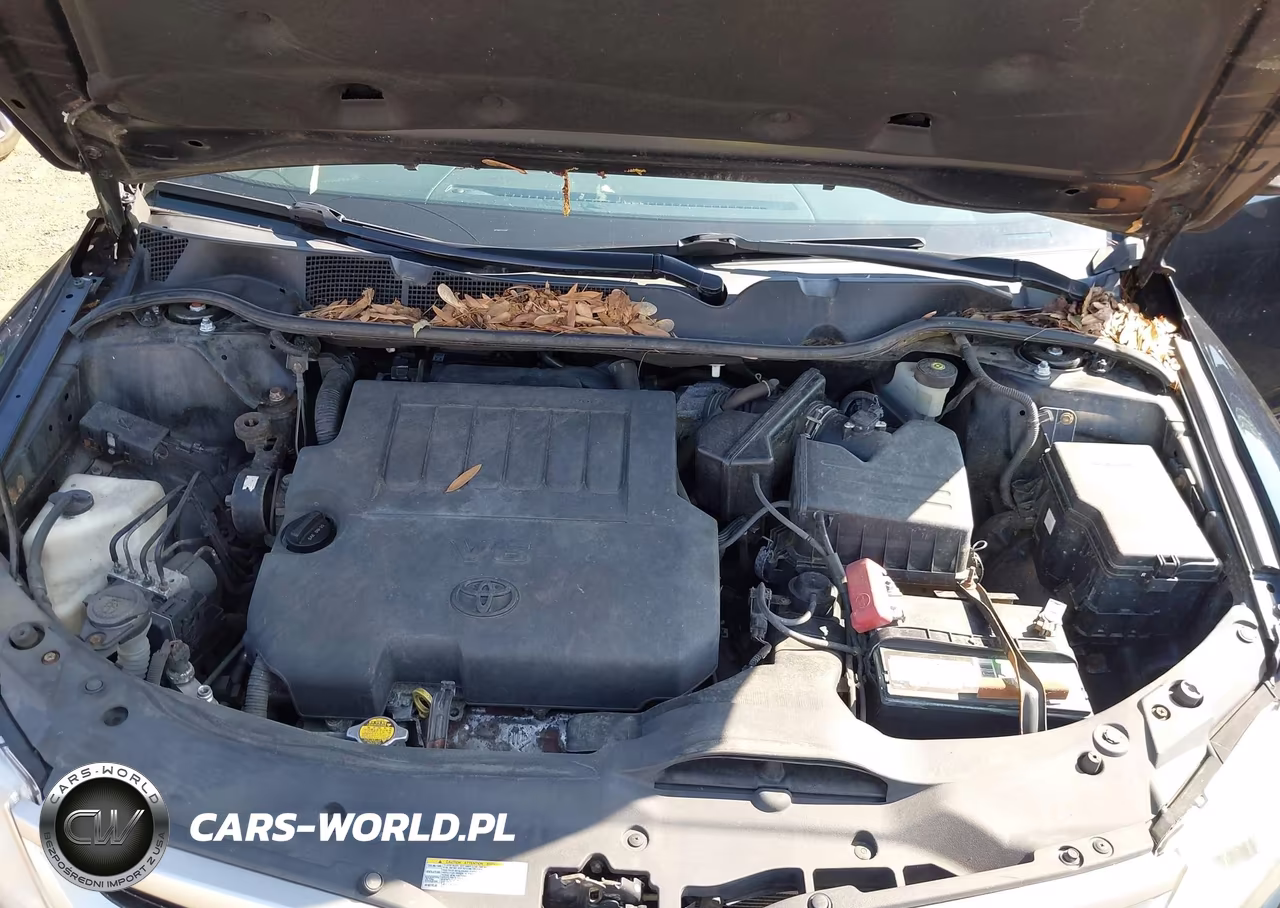 2013 Toyota Venza Xle V6 VIN:4T3BK3BB3DU095061 - 10