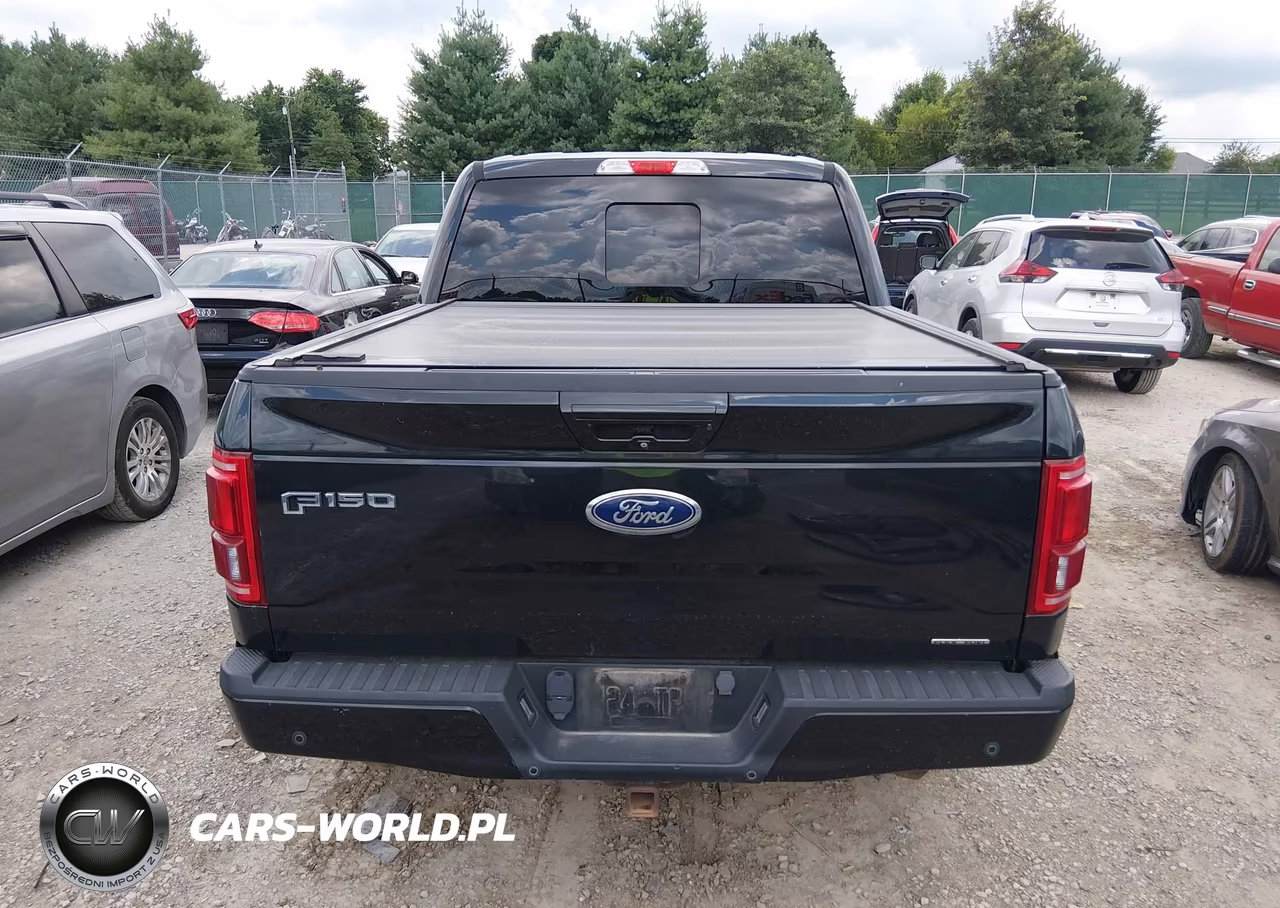 2015 Ford F-150 King Ranch-Lariat-Platinum-Xl-Xlt VIN:1FTEW1EF7FFB05924 - 17