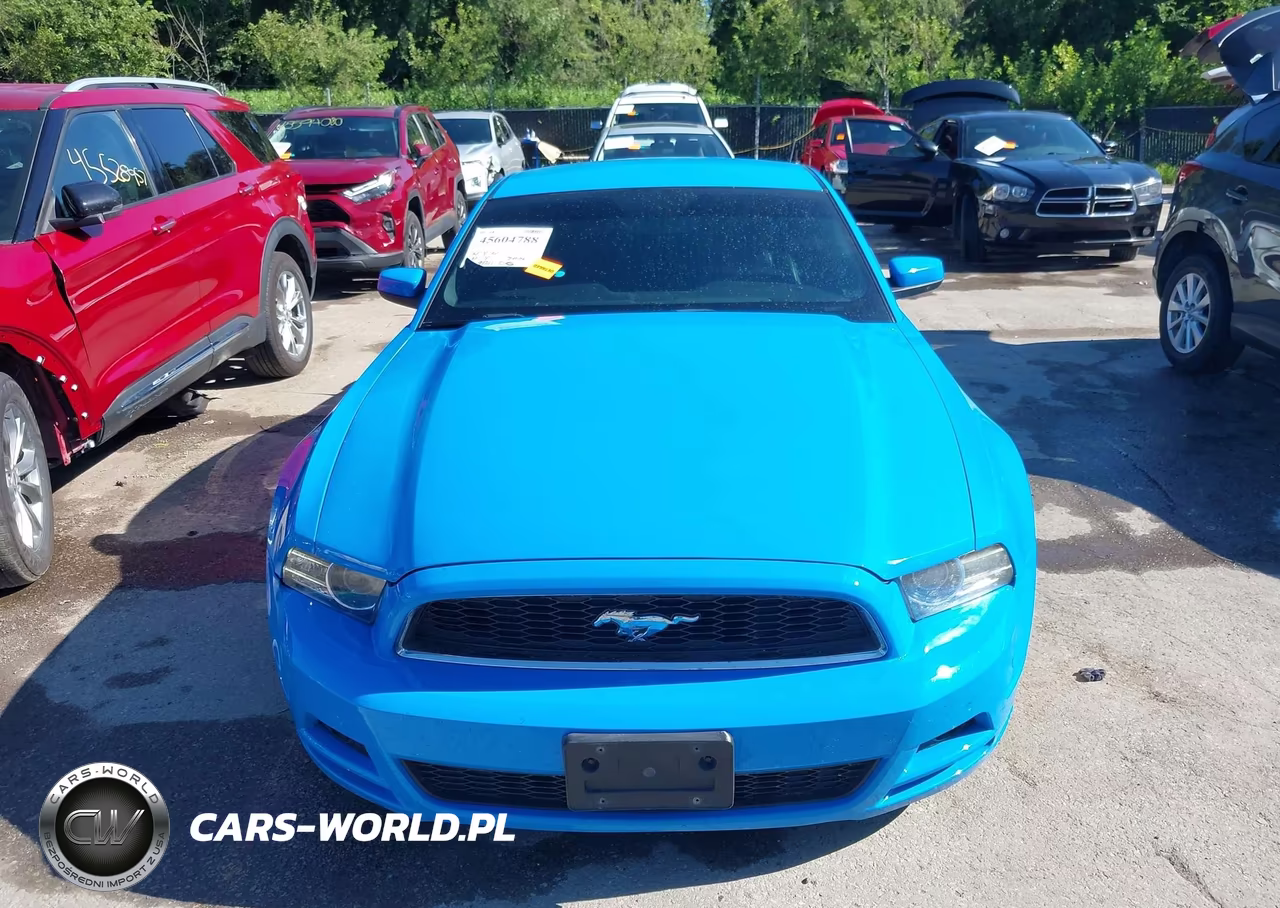 2013 Ford Mustang V6 Premium VIN:1ZVBP8AM9D5257832 - 12