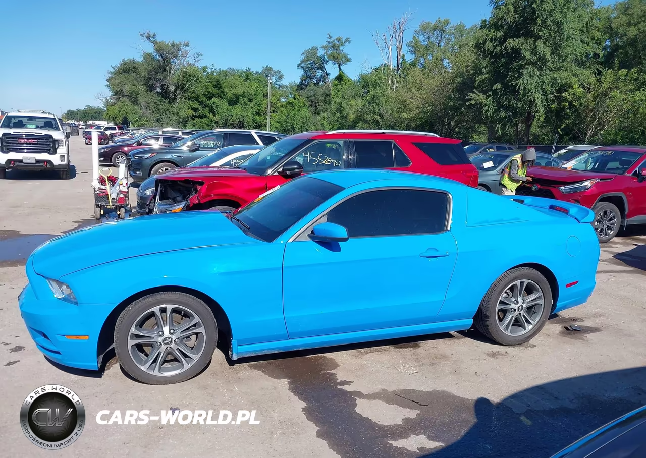 2013 Ford Mustang V6 Premium VIN:1ZVBP8AM9D5257832 - 14
