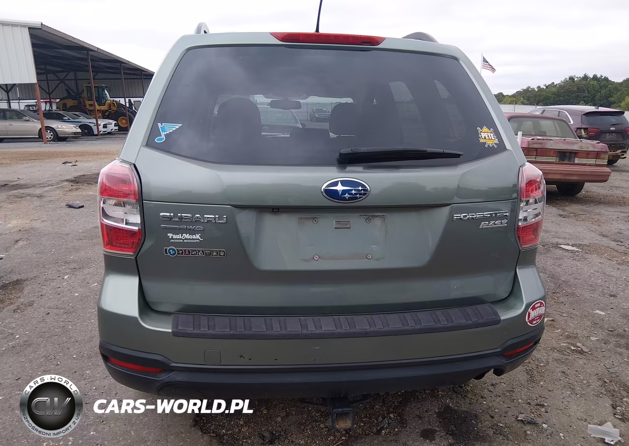 2015 Subaru Forester 2.5I Premium VIN:JF2SJADC1FH508232 - 17