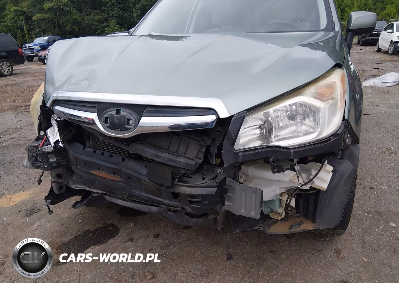 2015 Subaru Forester 2.5I Premium VIN:JF2SJADC1FH508232 - 18