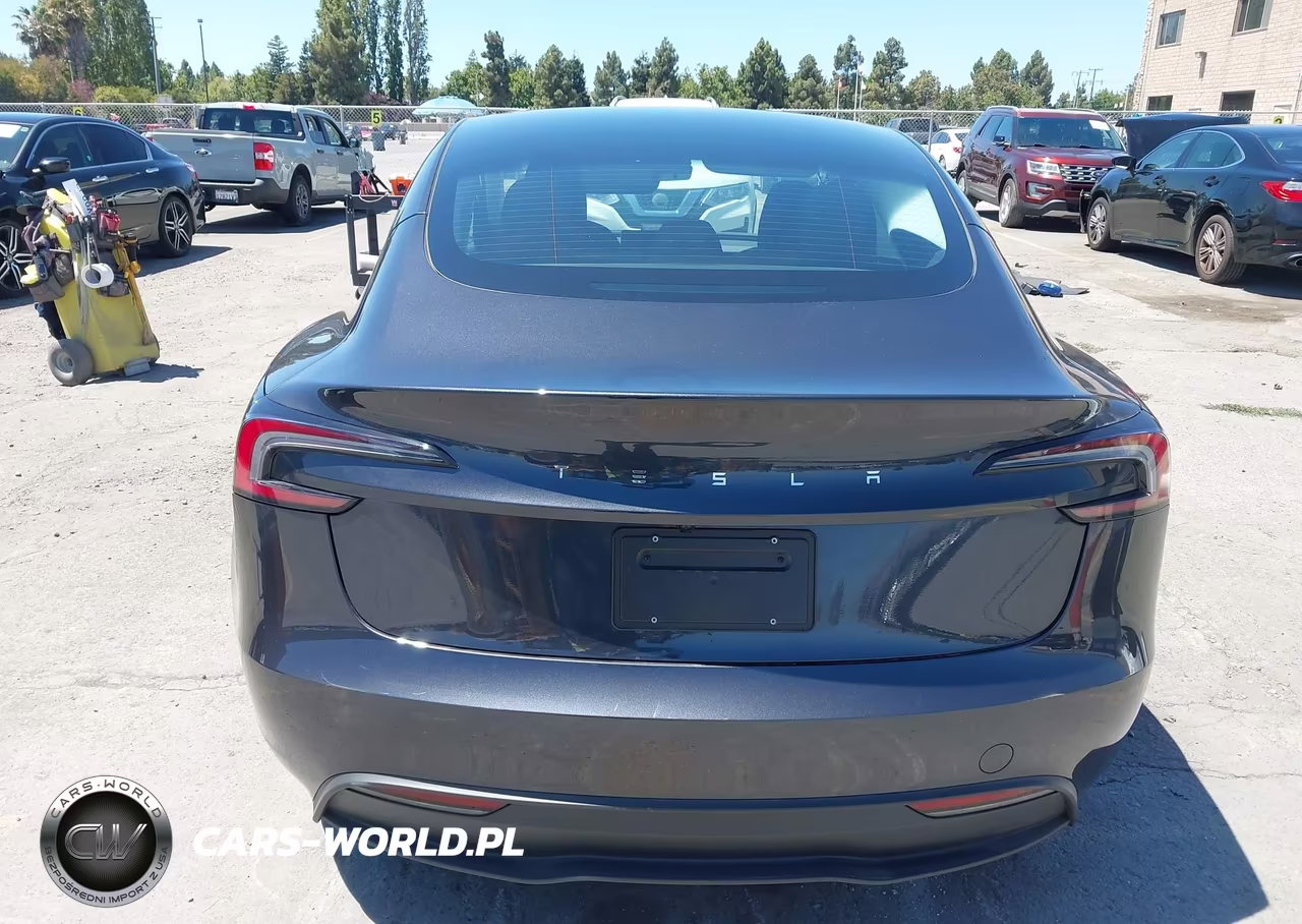 2025 Tesla Model 3 Long Range Rear-Wheel Drive-Standard Rear-Wheel Drive VIN:5YJ3E1EAXSF057851 - 16