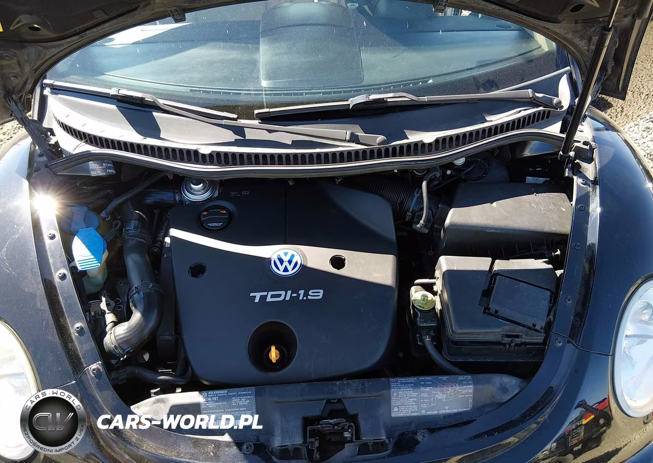 2000 Volkswagen New Beetle Gls Tdi VIN:3VWCF21C1YM469863 - 10