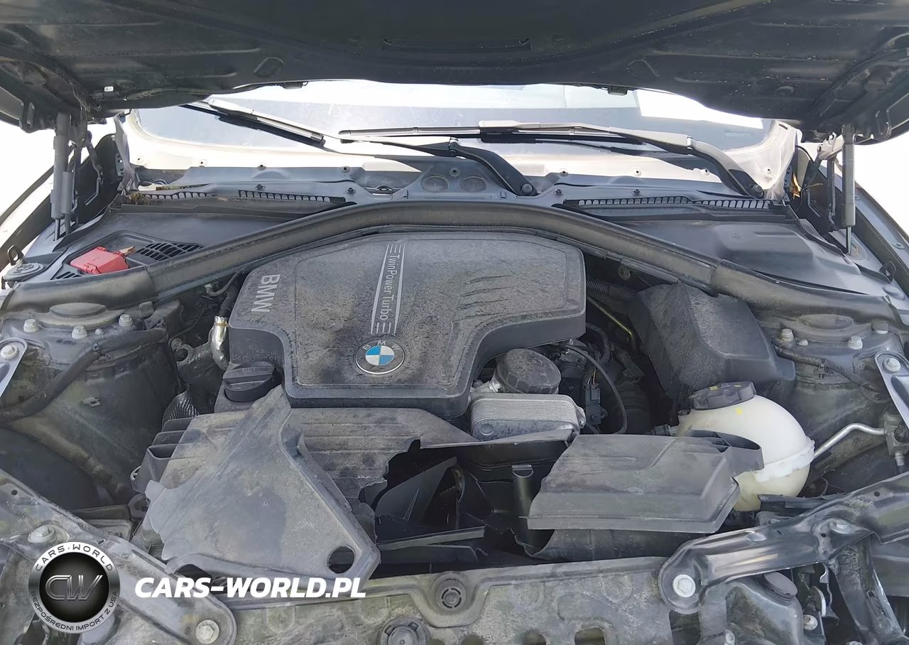 2016 BMW 428I xDrive VIN:WBA3T1C58GP822660 - 10