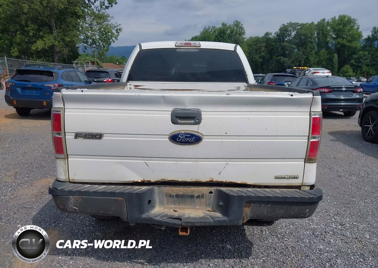 2012 Ford F-150 Xl VIN:1FTFX1EF0CFA60578 - 17