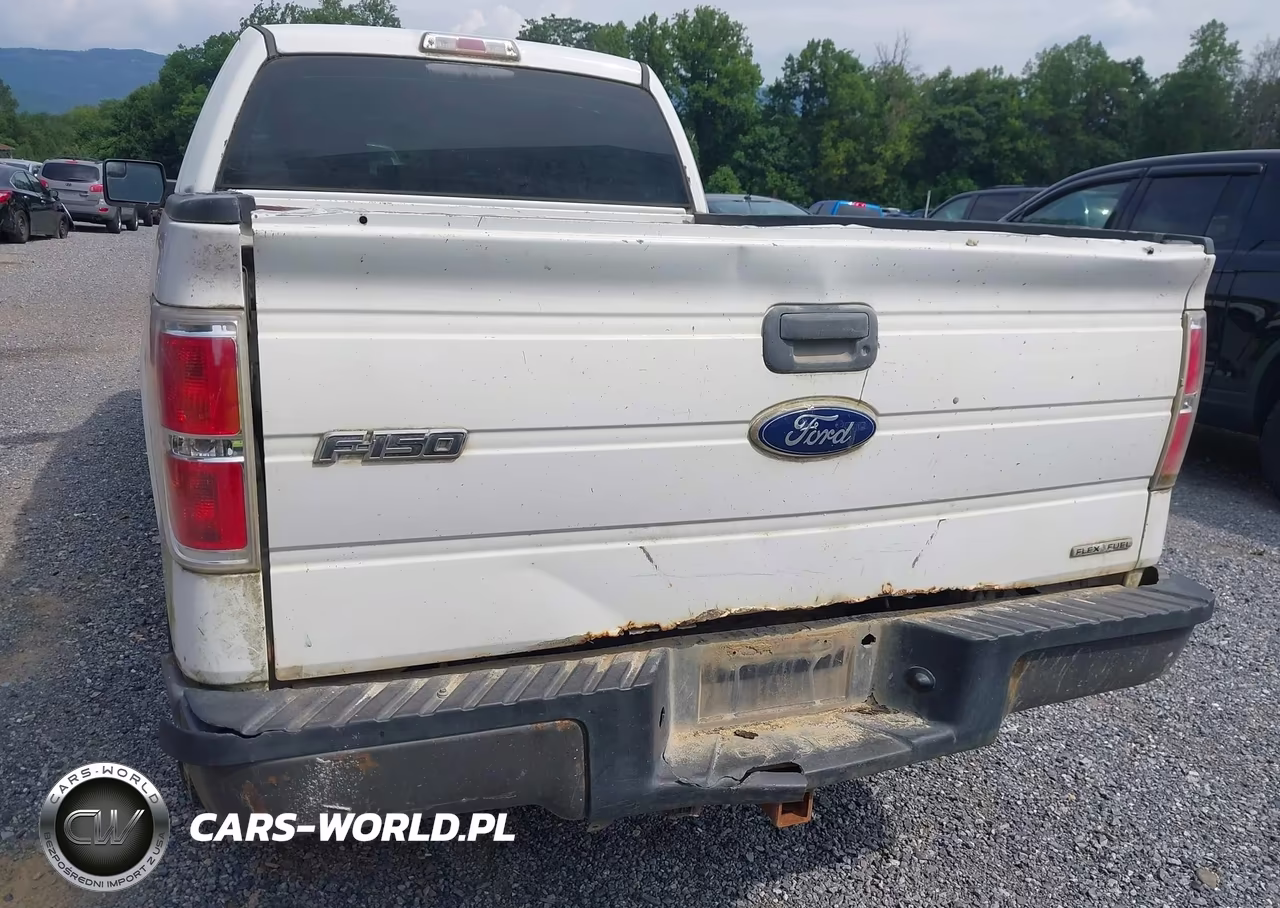 2012 Ford F-150 Xl VIN:1FTFX1EF0CFA60578 - 22