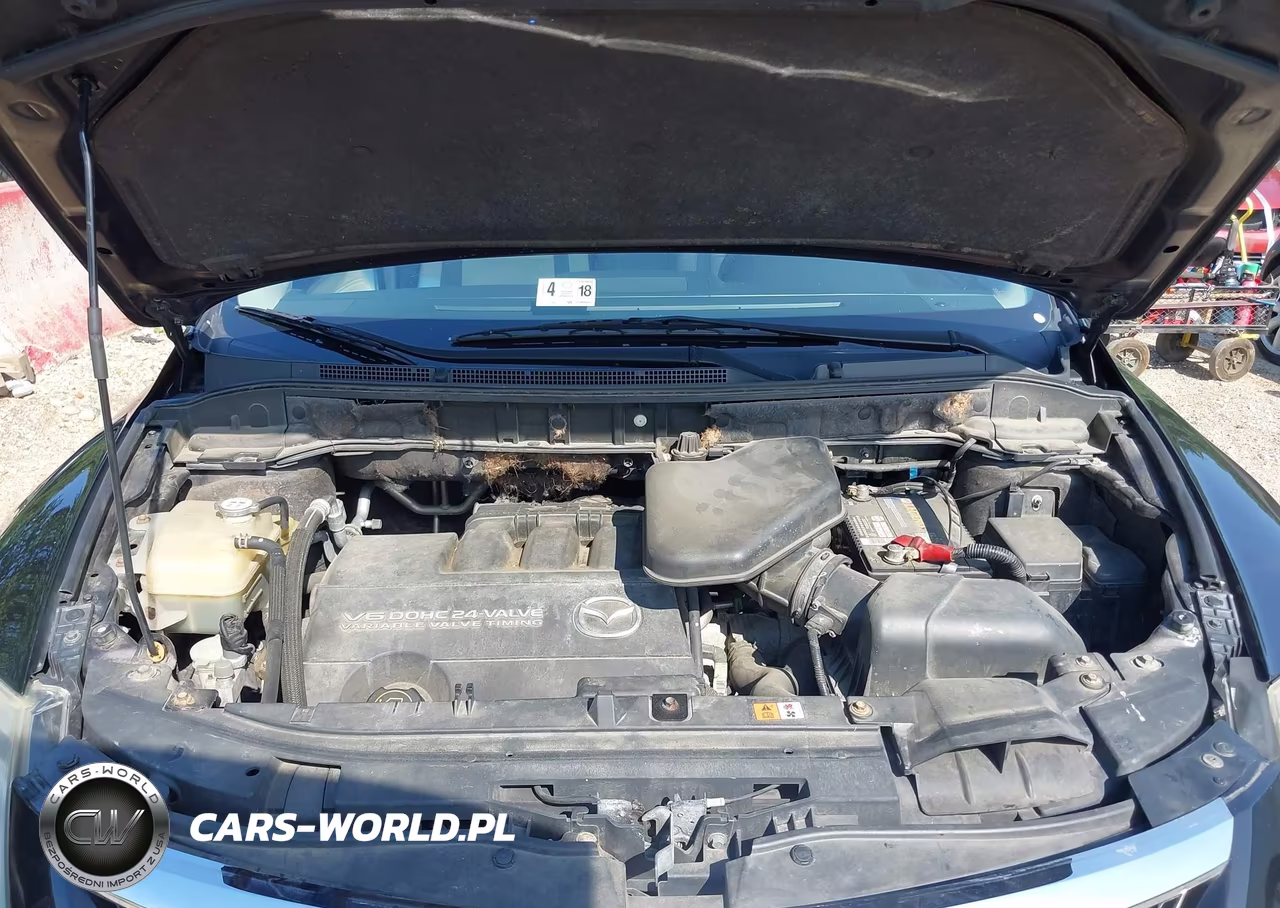 2009 Mazda Cx-9 Grand Touring VIN:JM3TB38V690167587 - 10
