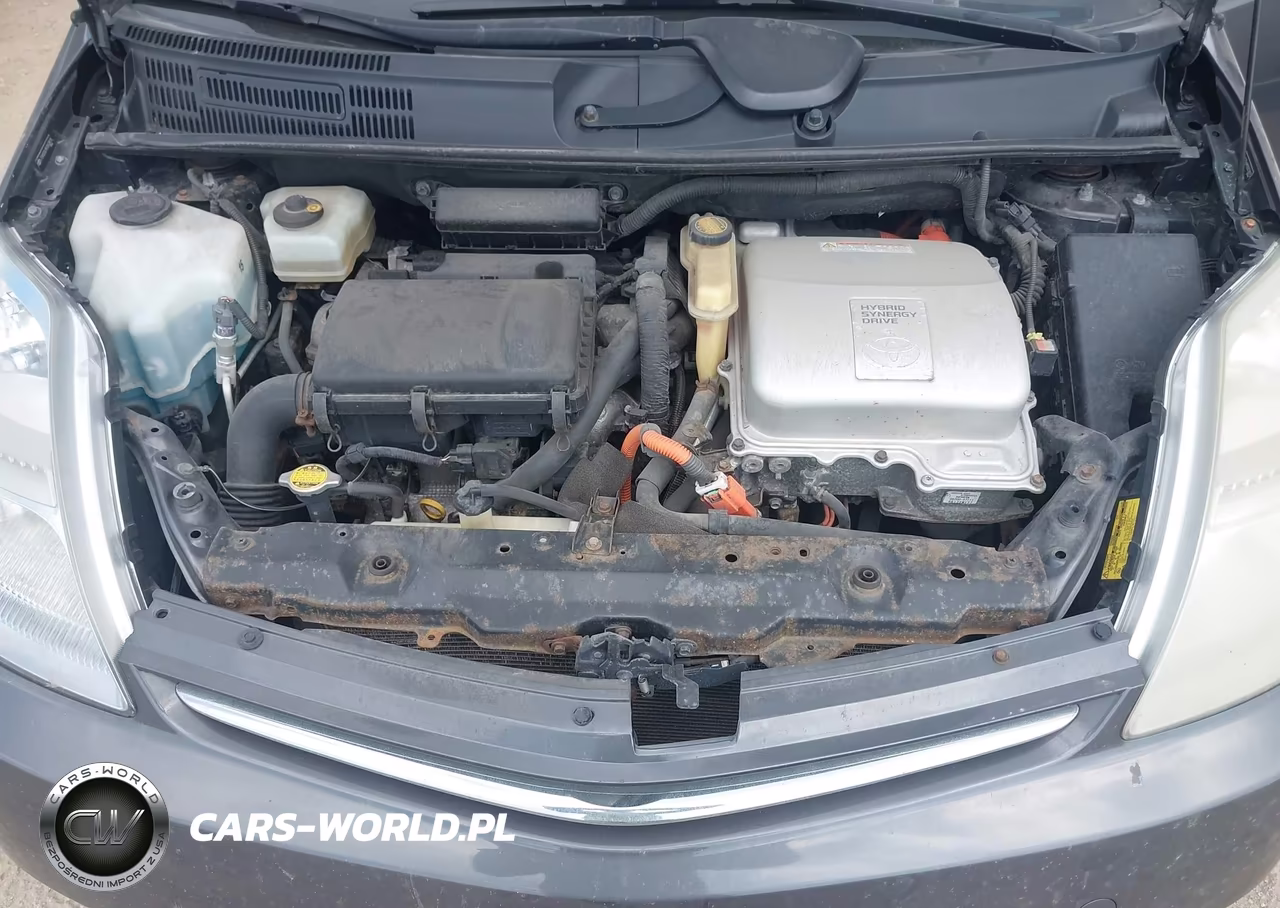 2009 Toyota Prius VIN:JTDKB20U993503815 - 10