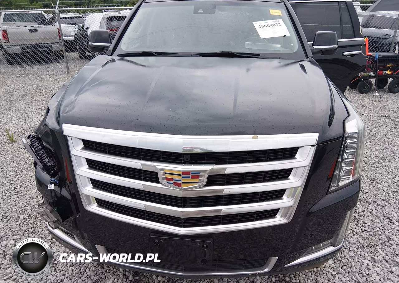 2017 Cadillac Escalade Luxury VIN:1GYS3BKJ7HR129839 - 10