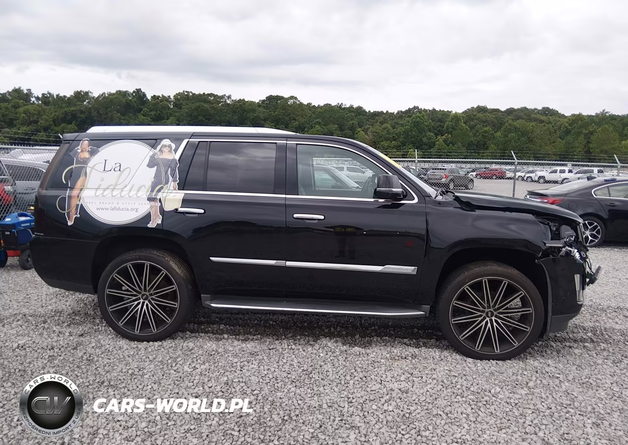 2017 Cadillac Escalade Luxury VIN:1GYS3BKJ7HR129839 - 13