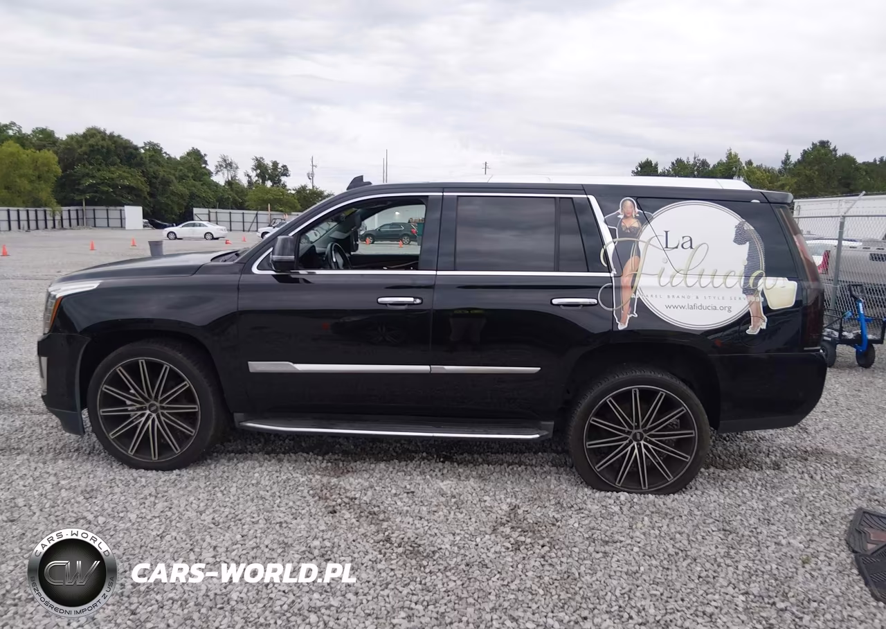 2017 Cadillac Escalade Luxury VIN:1GYS3BKJ7HR129839 - 14