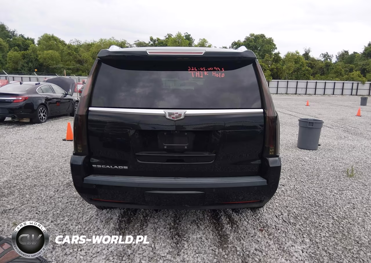 2017 Cadillac Escalade Luxury VIN:1GYS3BKJ7HR129839 - 16