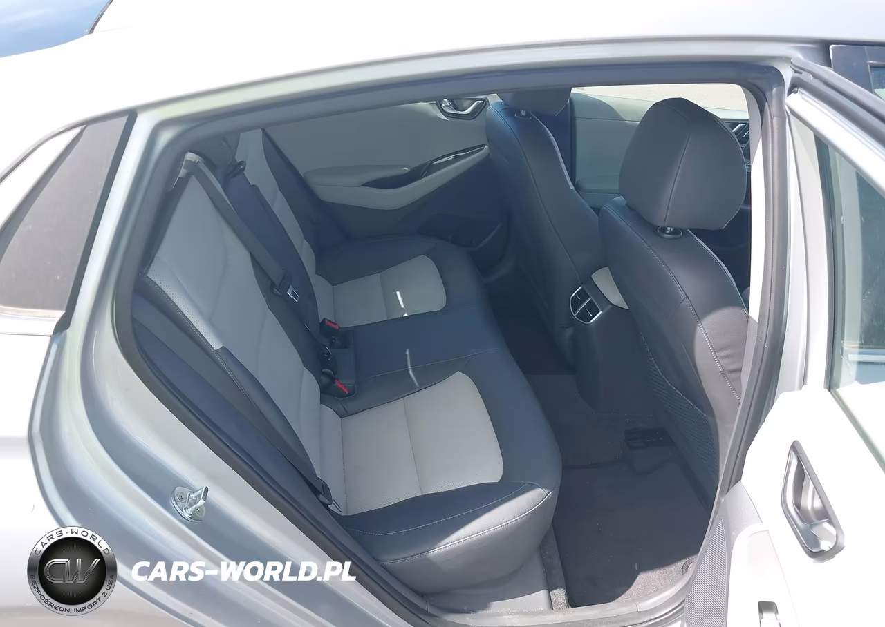 2020 Hyundai Ioniq Electric Limited VIN:KMHC85LJ6LU071283 - 8