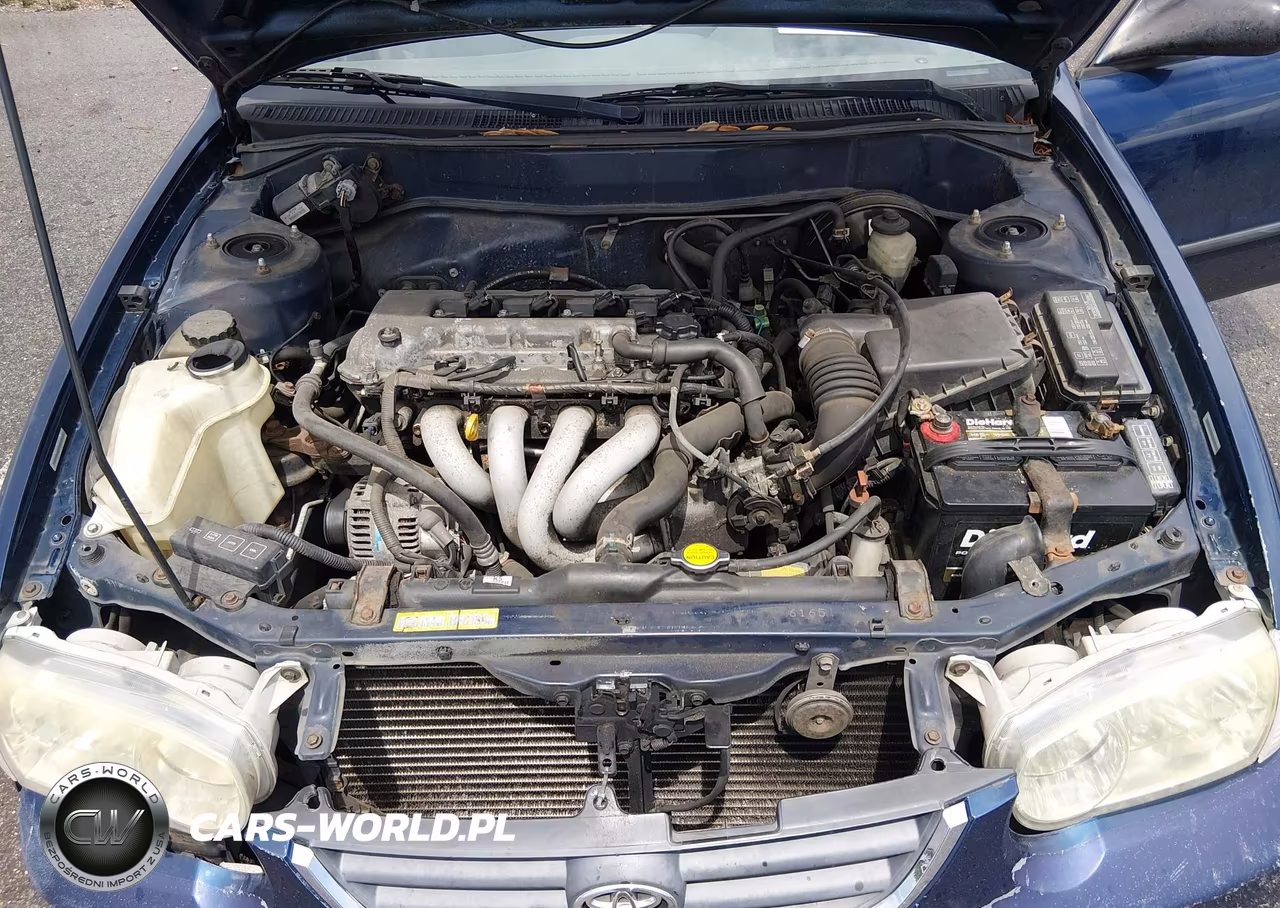 2001 Toyota Corolla Ce VIN:1NXBR12E81Z463233 - 10