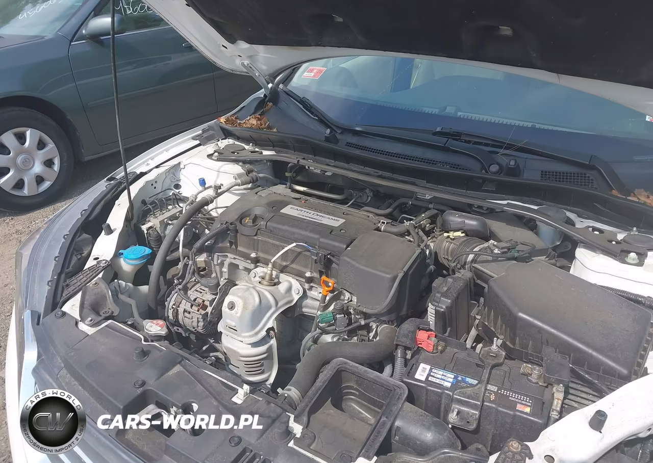2014 Honda Accord Ex-L VIN:1HGCR2F80EA303651 - 10