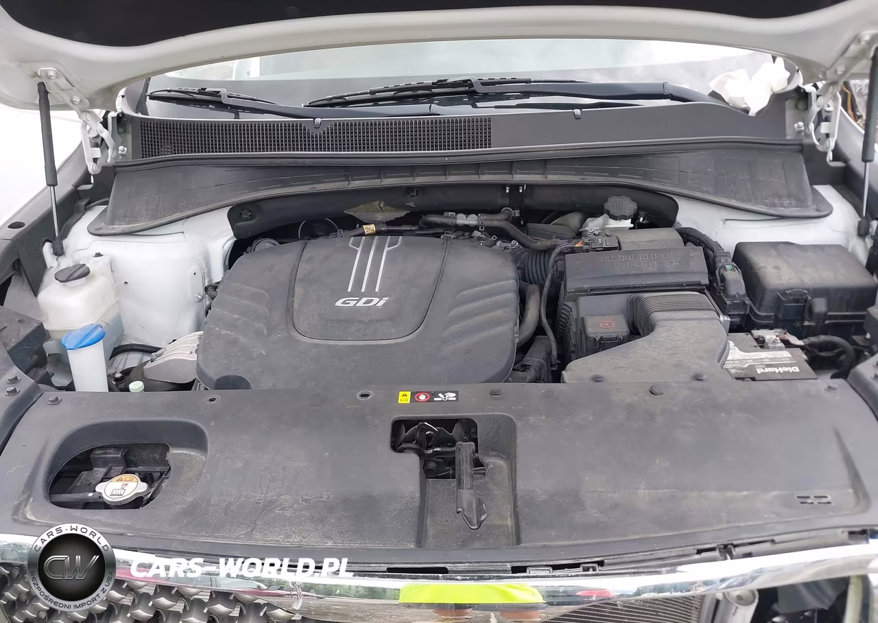 2018 Kia Sorento 3.3L Sx VIN:5XYPK4A55JG399333 - 10