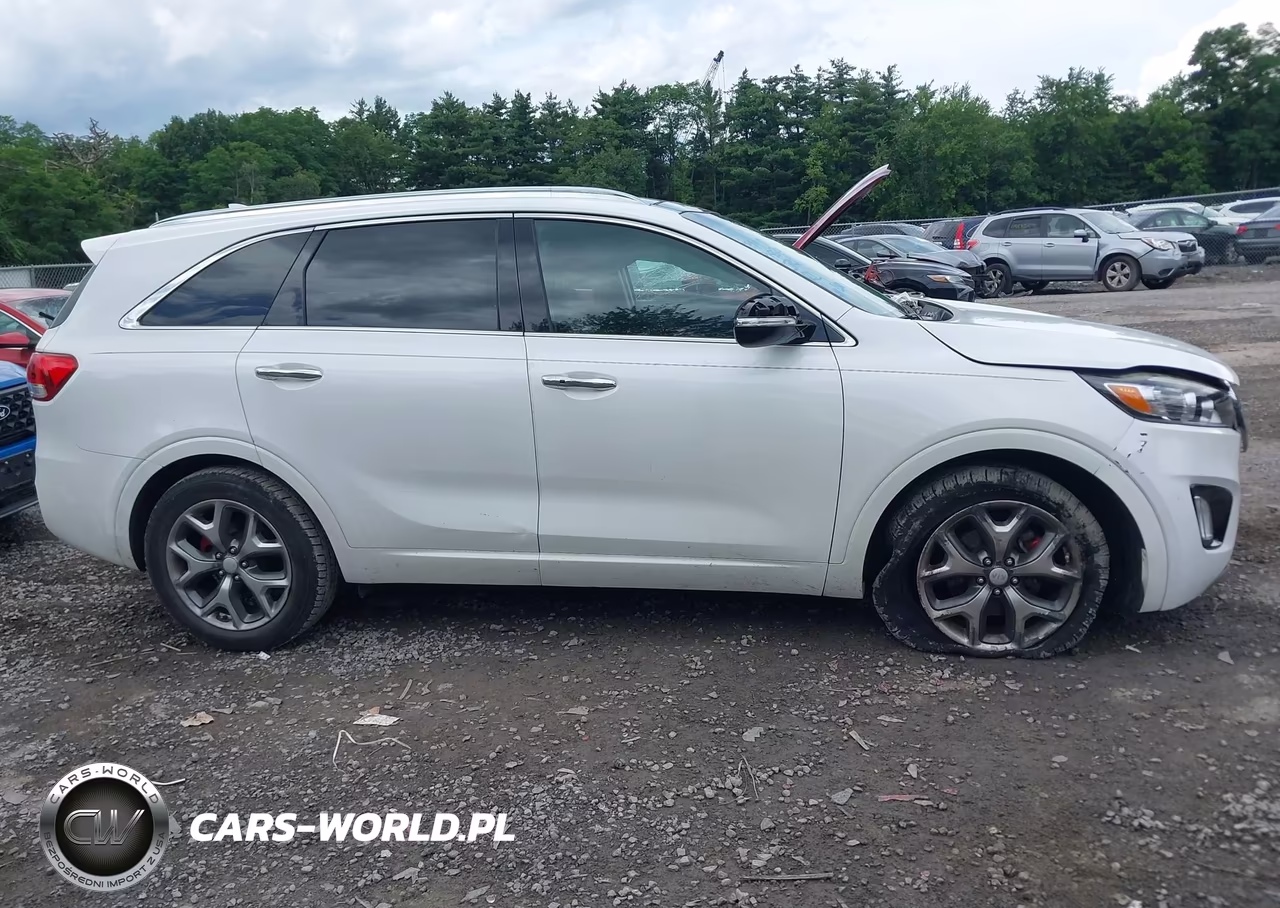 2018 Kia Sorento 3.3L Sx VIN:5XYPK4A55JG399333 - 14