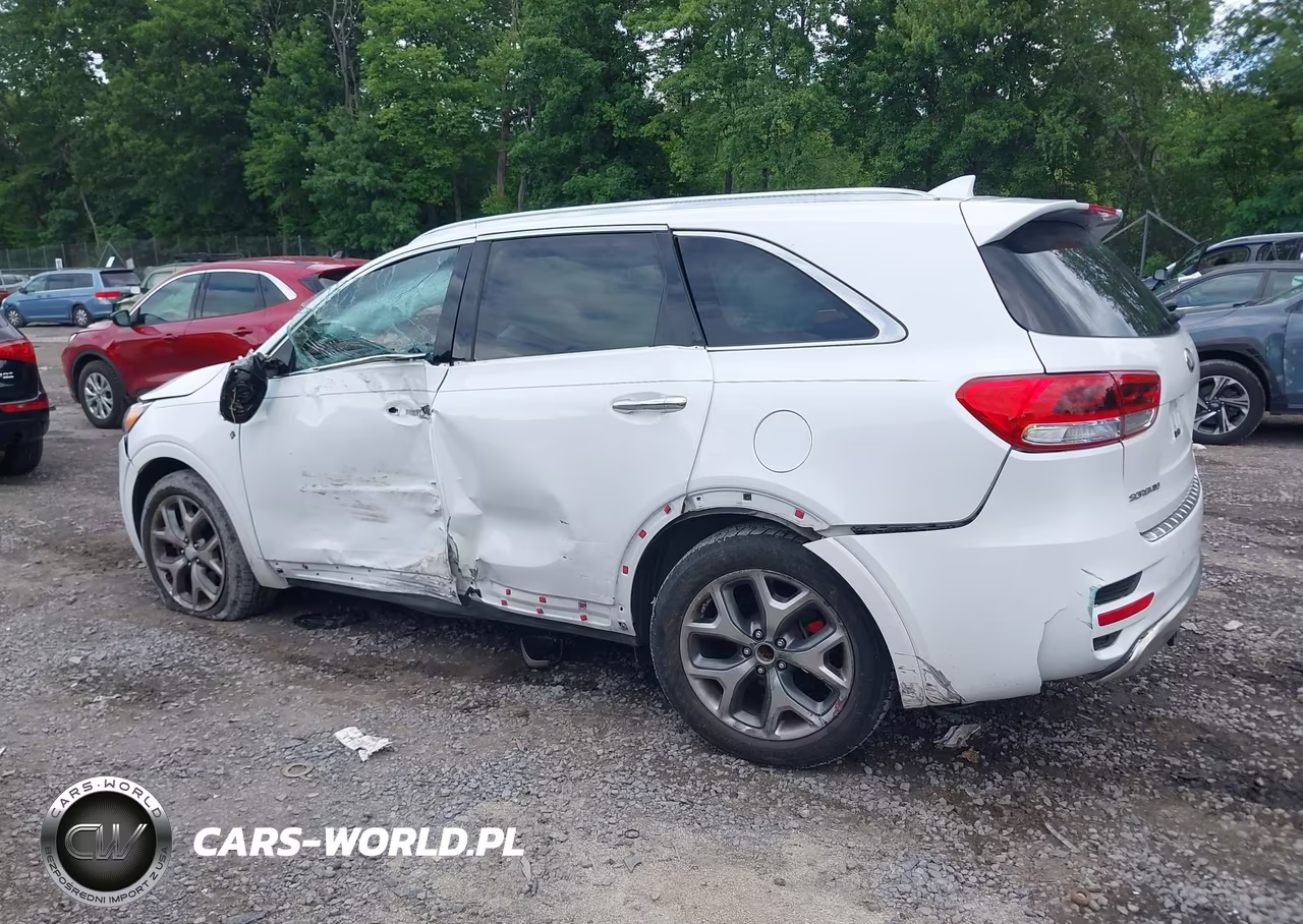 2018 Kia Sorento 3.3L Sx VIN:5XYPK4A55JG399333 - 15